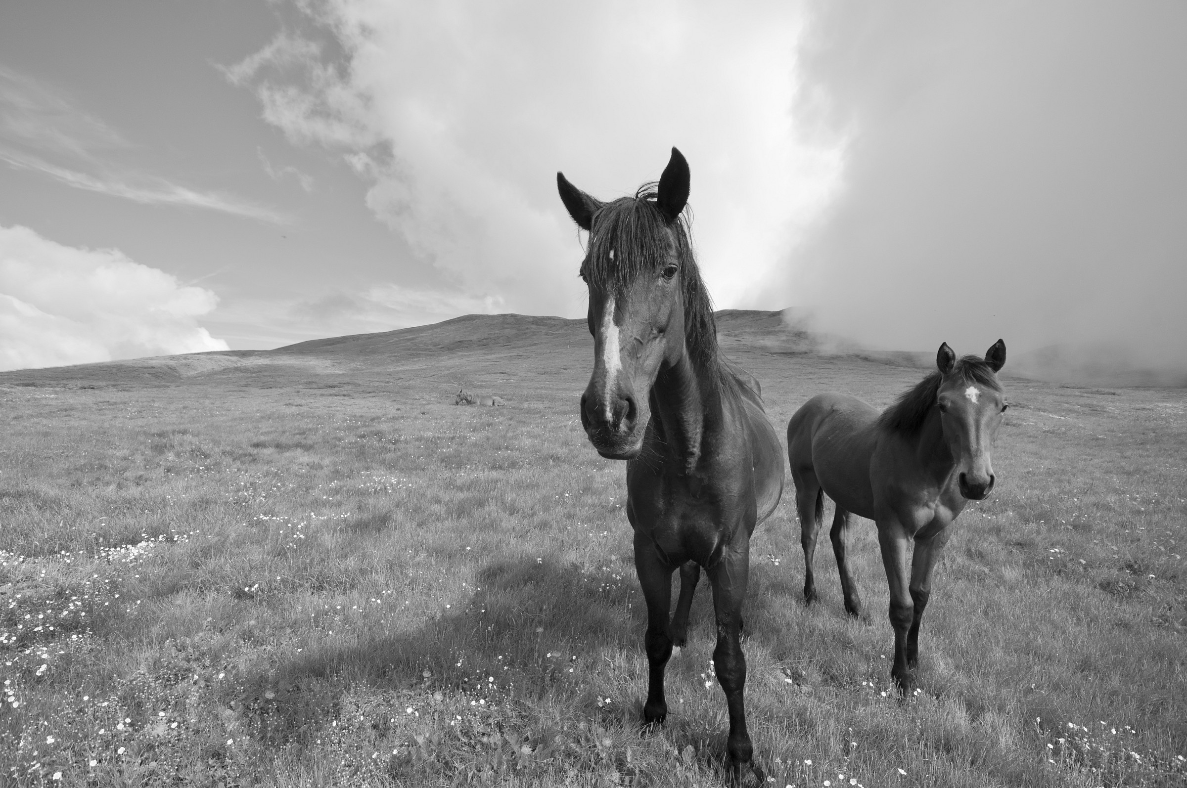Mother and son in the mountains
