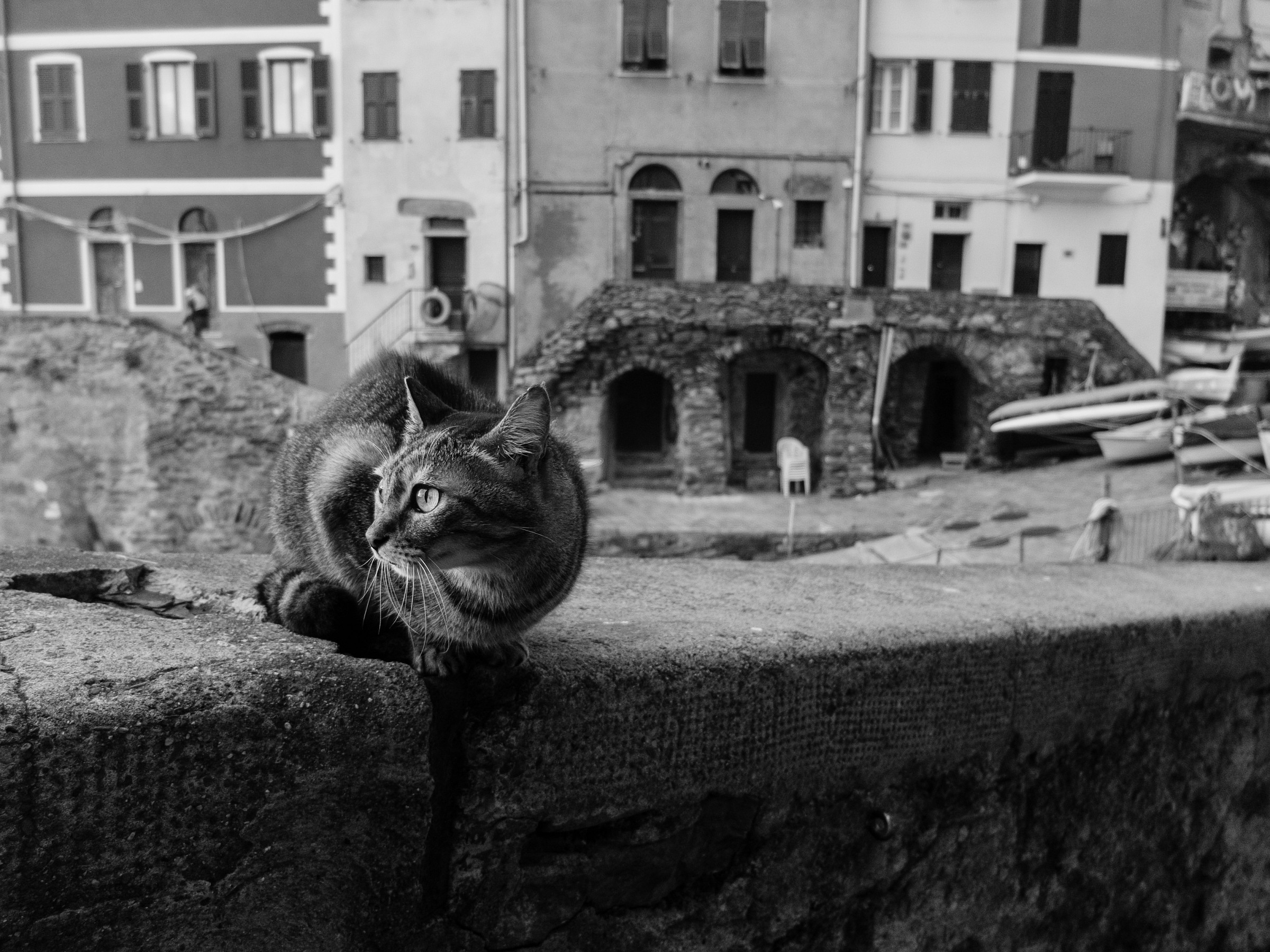 I see something on the horizon