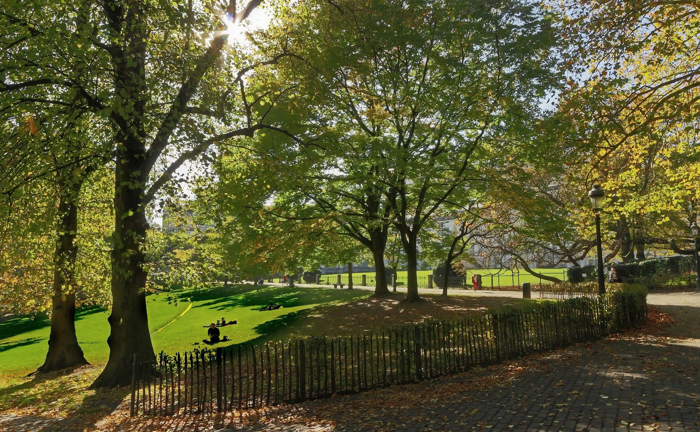 My favorite spot at the park