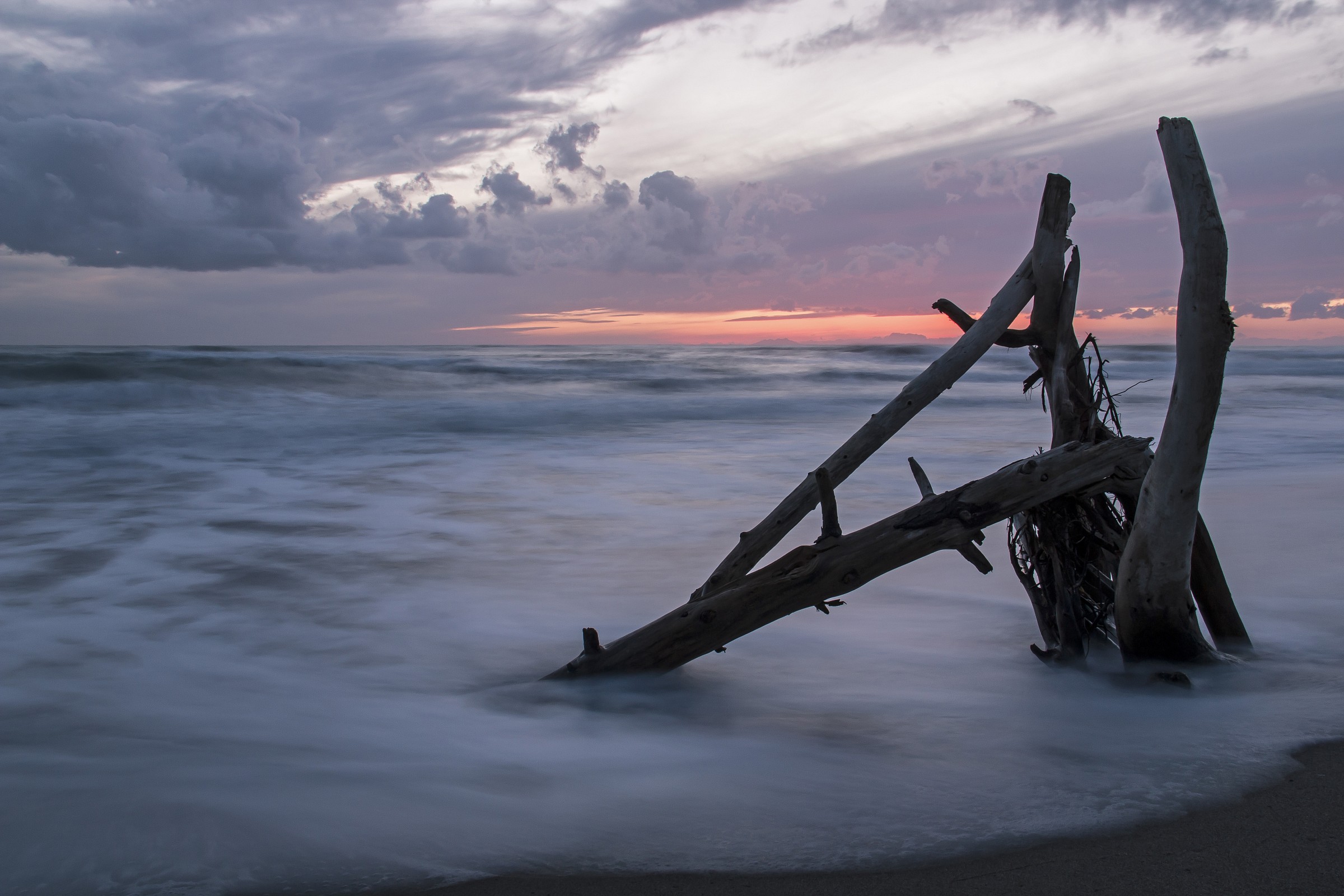 Le radici del mare!!