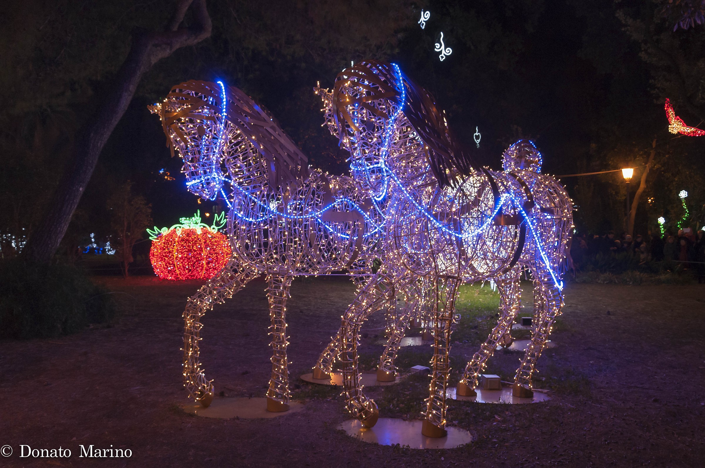 Salerno - Luci d'artista