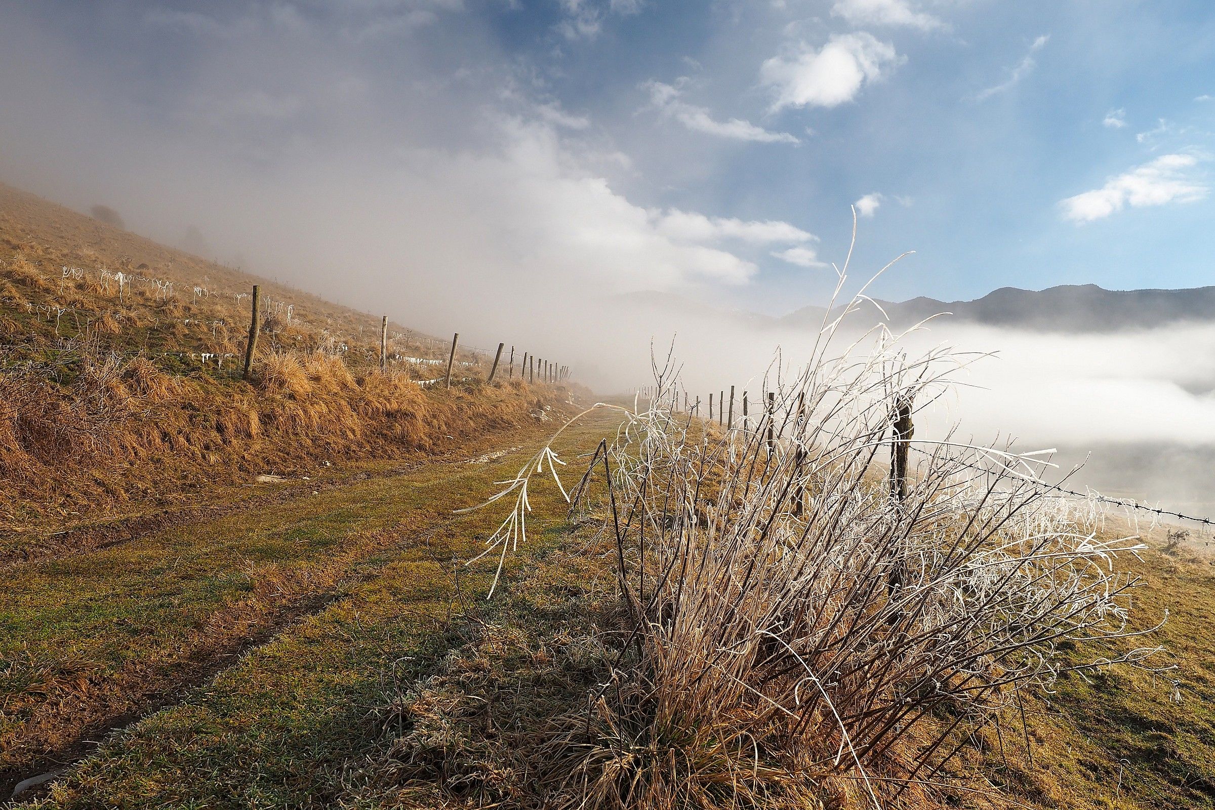 They open the clouds