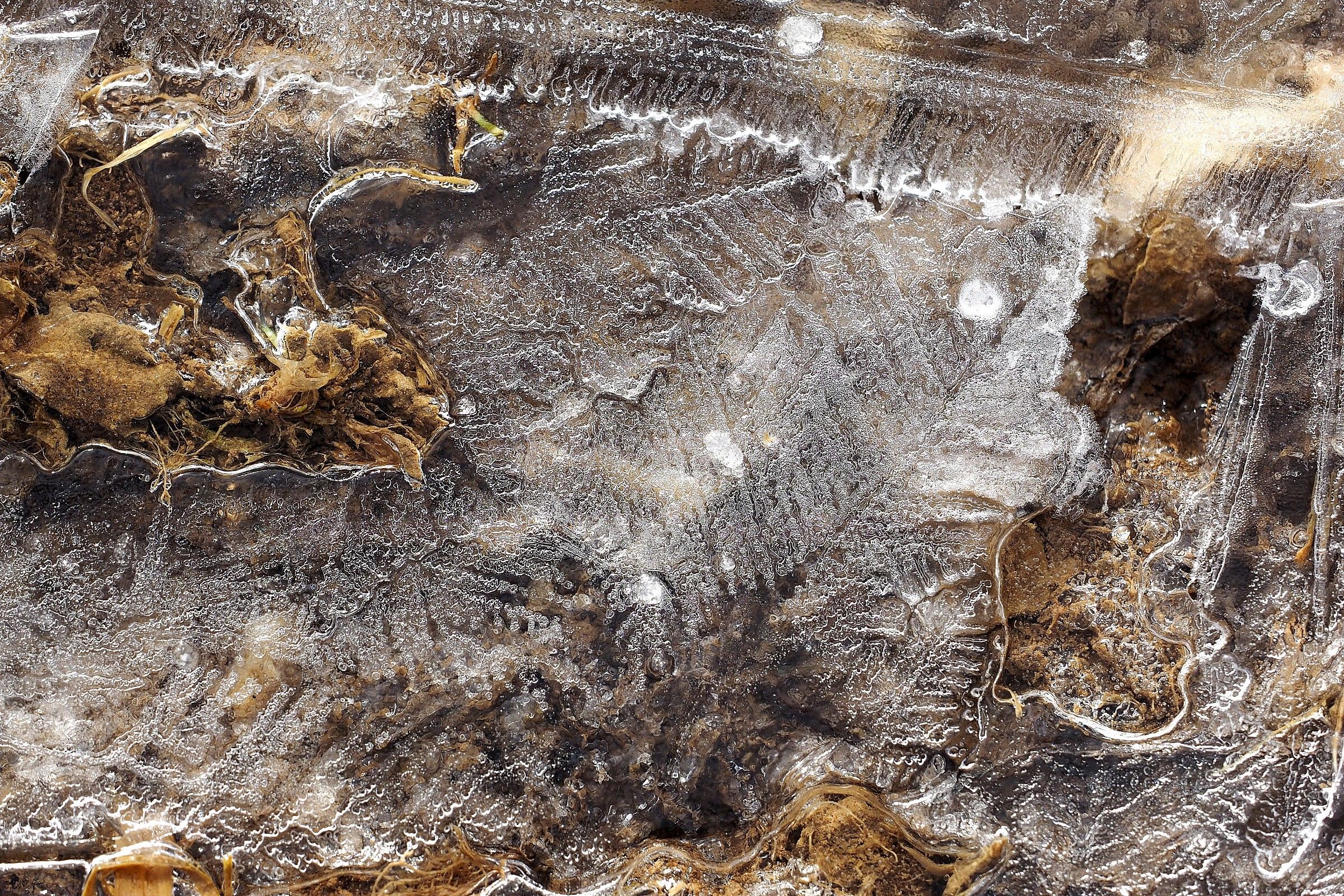 Di qui non ci muoviamo fino ad aprile