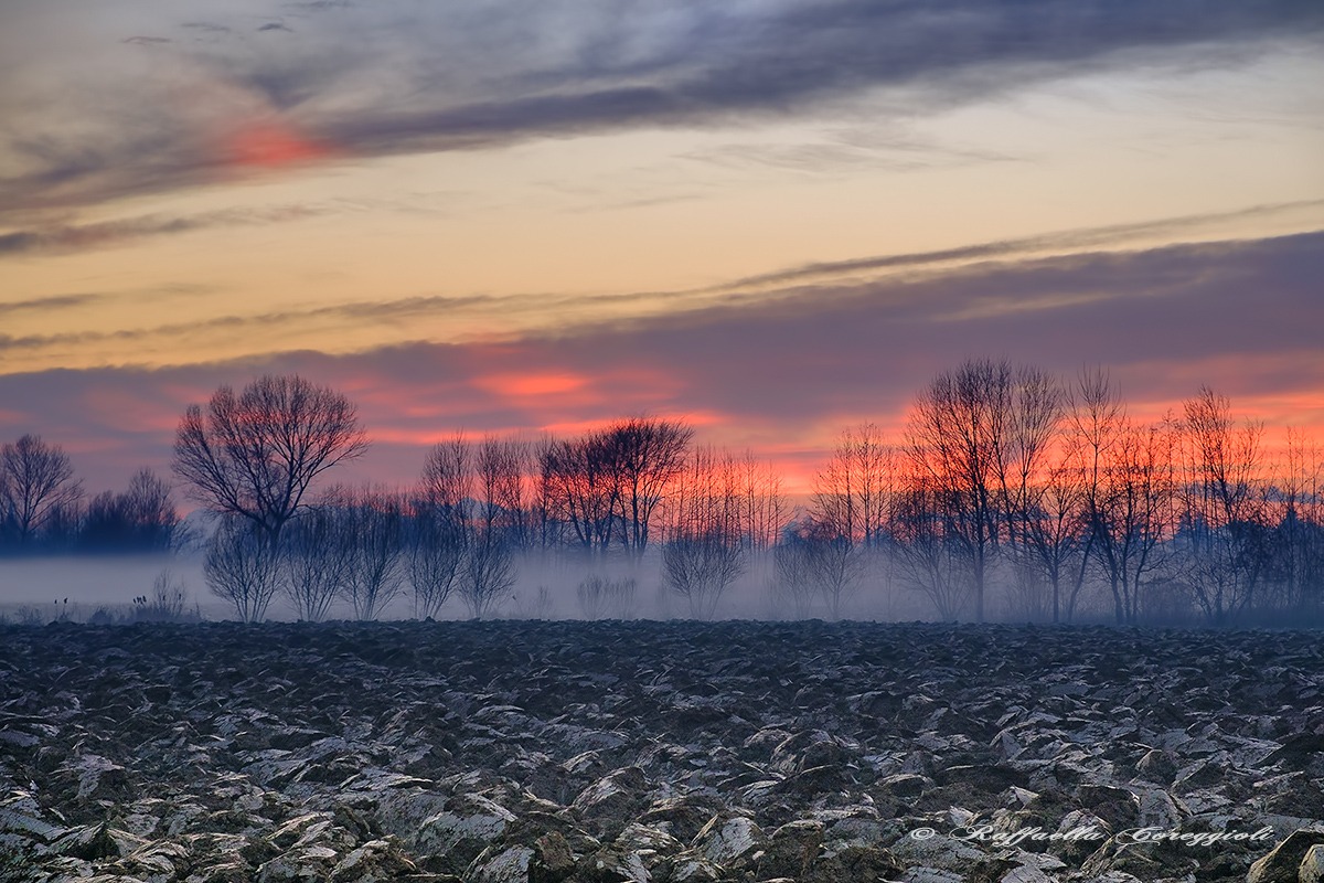 Tu chiamale se vuoi....emozioni