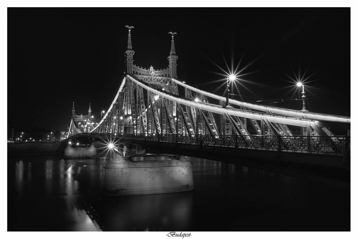 I ponti sul Danubio(Budapest)