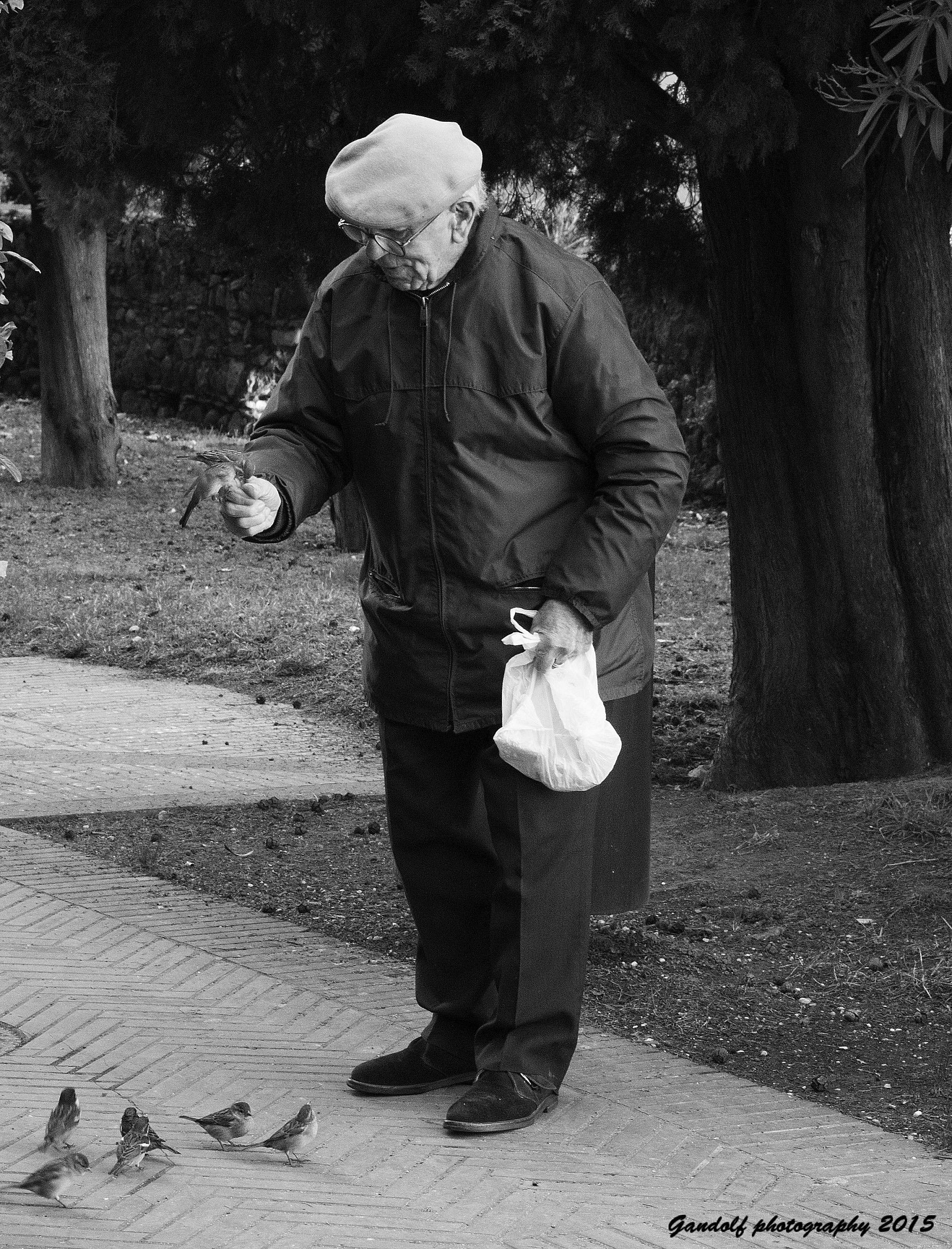 Mangiate uccellini....