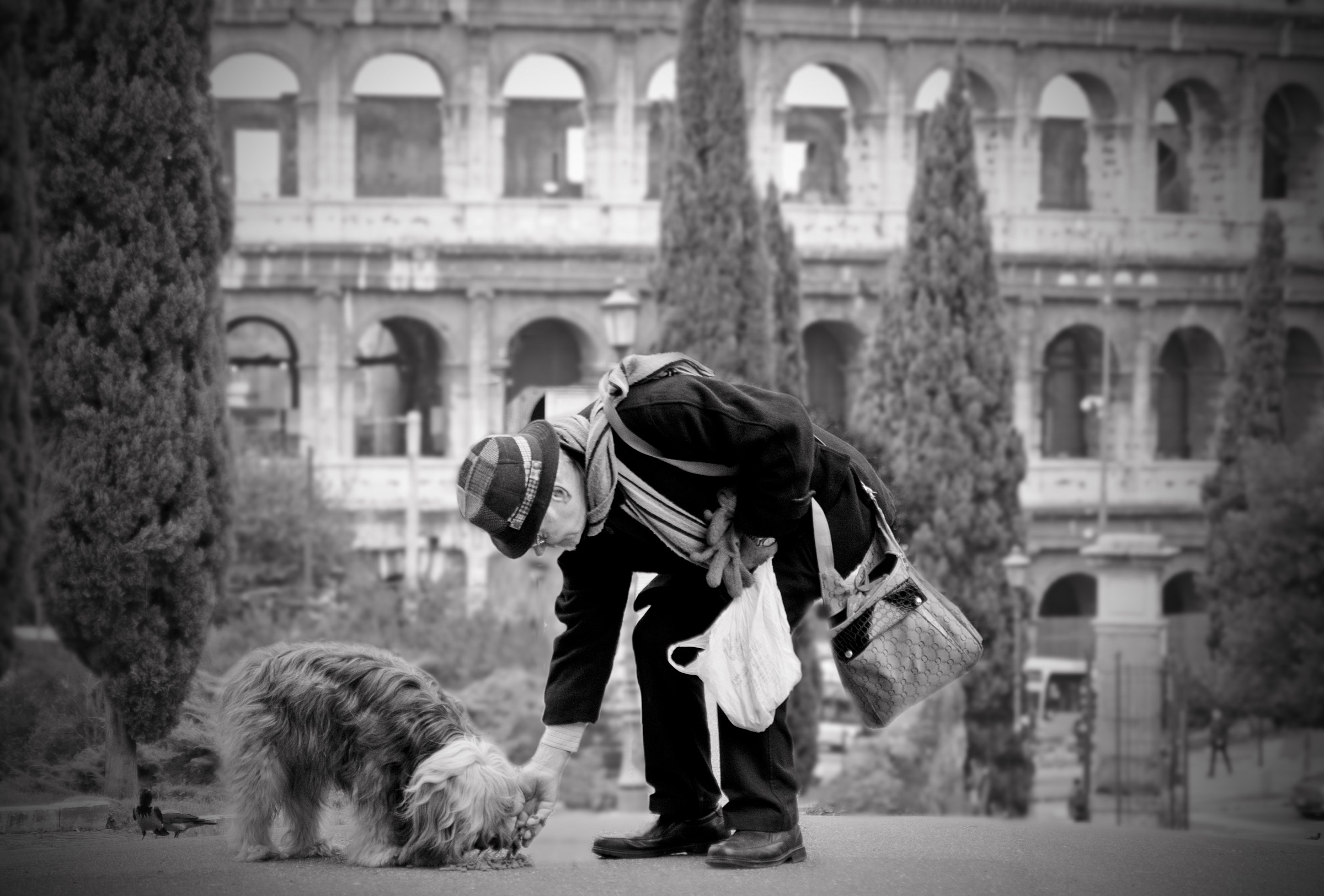 eterno amico dell'uomo