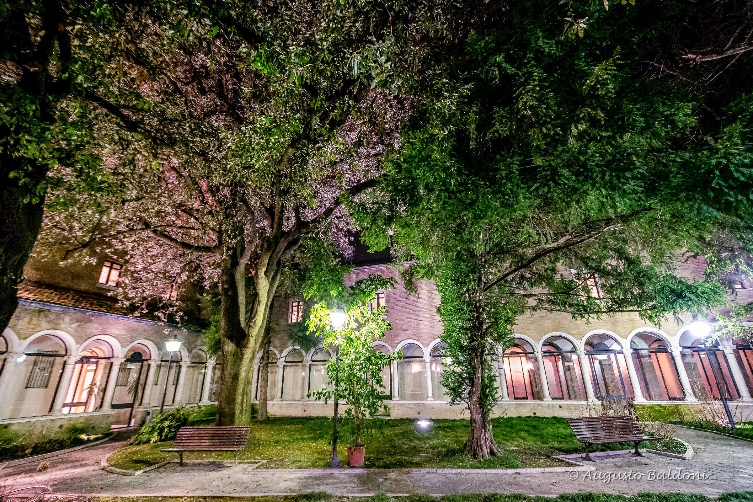 Ravenna - Cloister of St. Francis