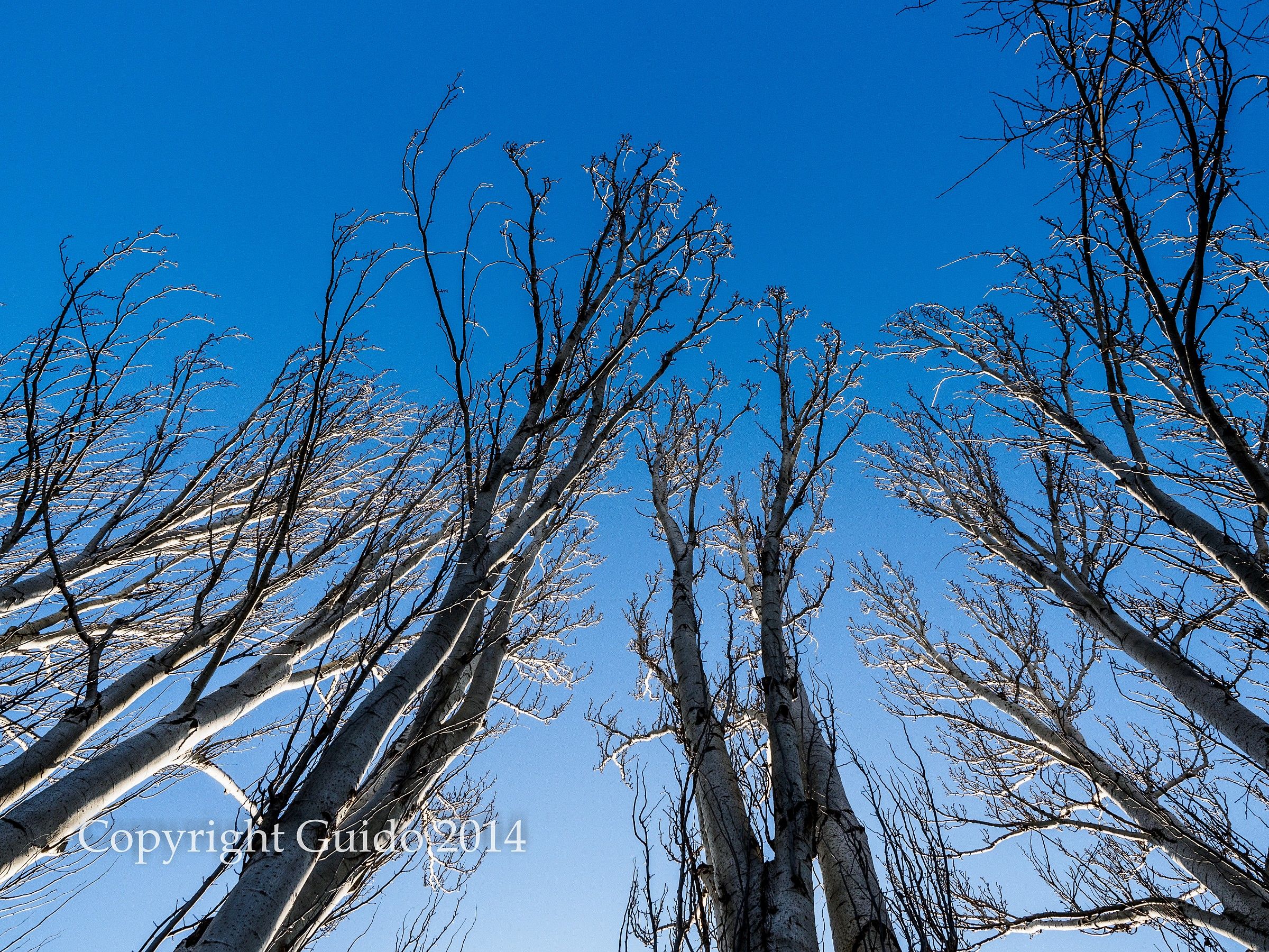 Dita verso il cielo_RGB