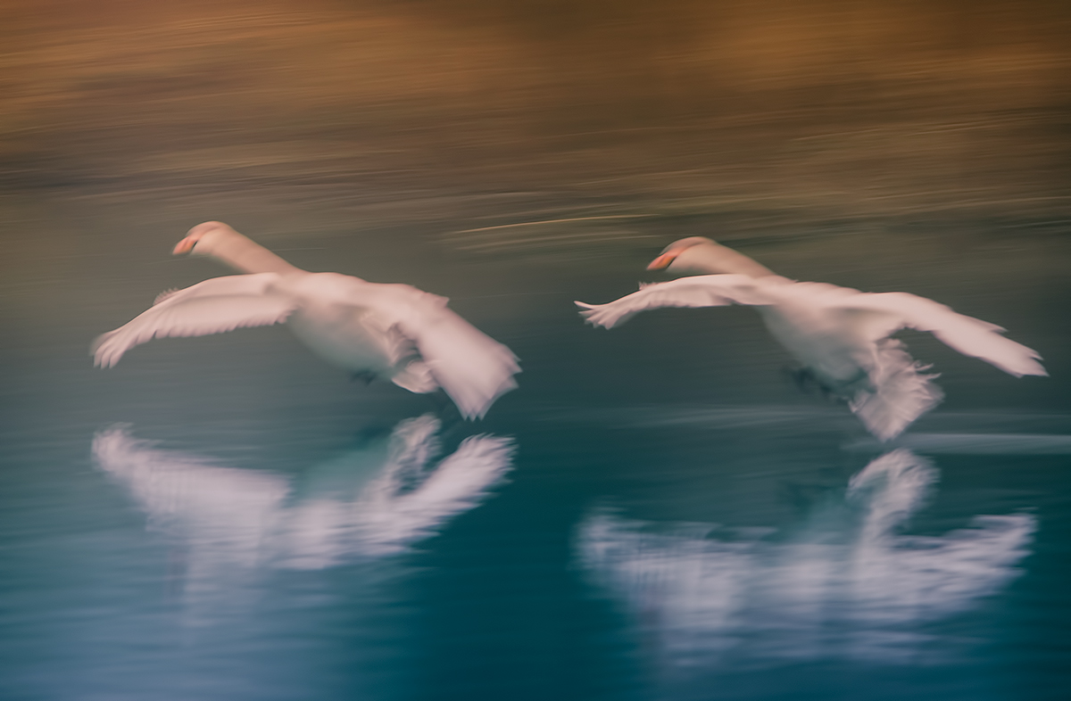 Ammaraggio sincronizzato