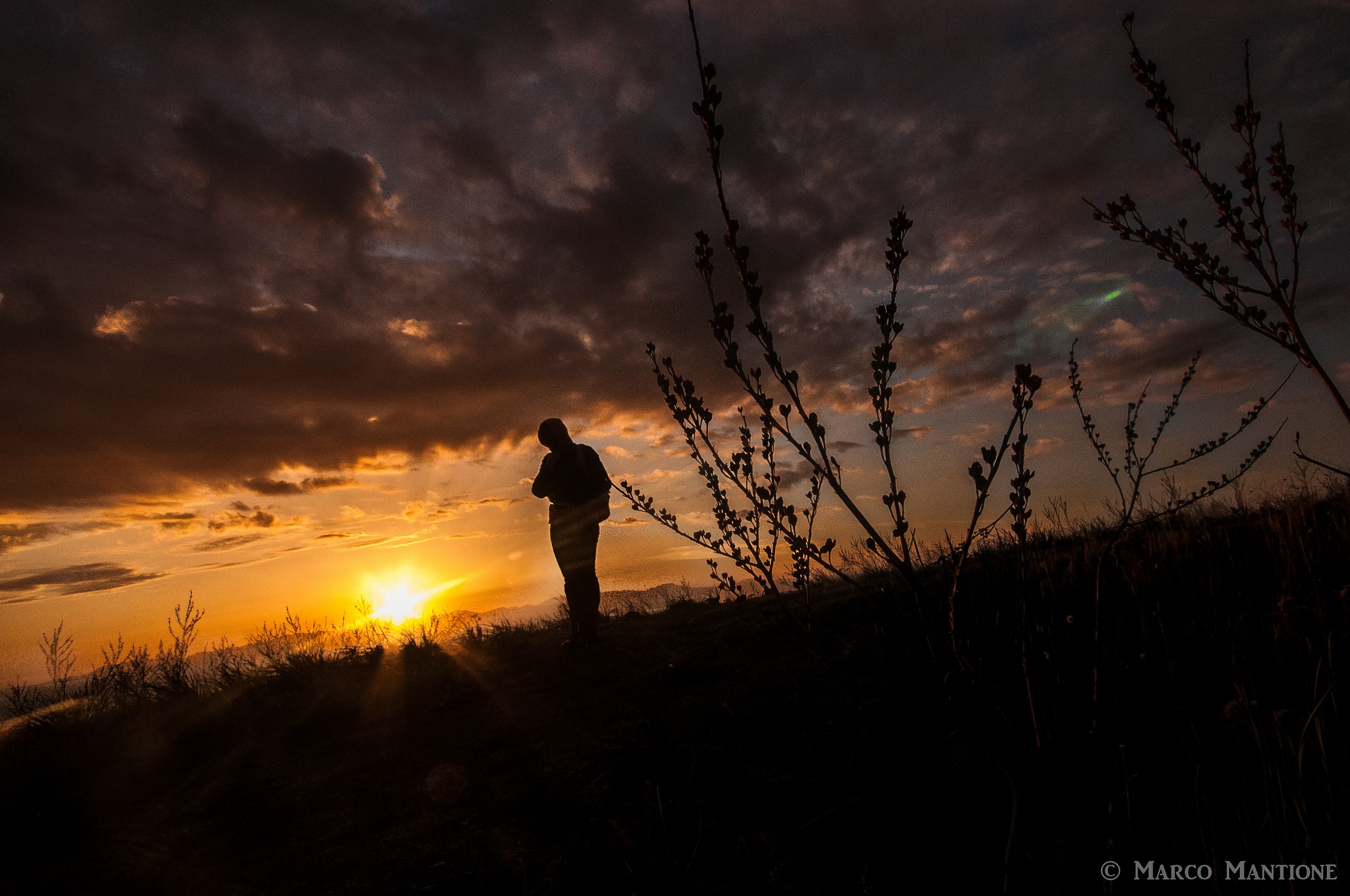 Silhouettes and sunset