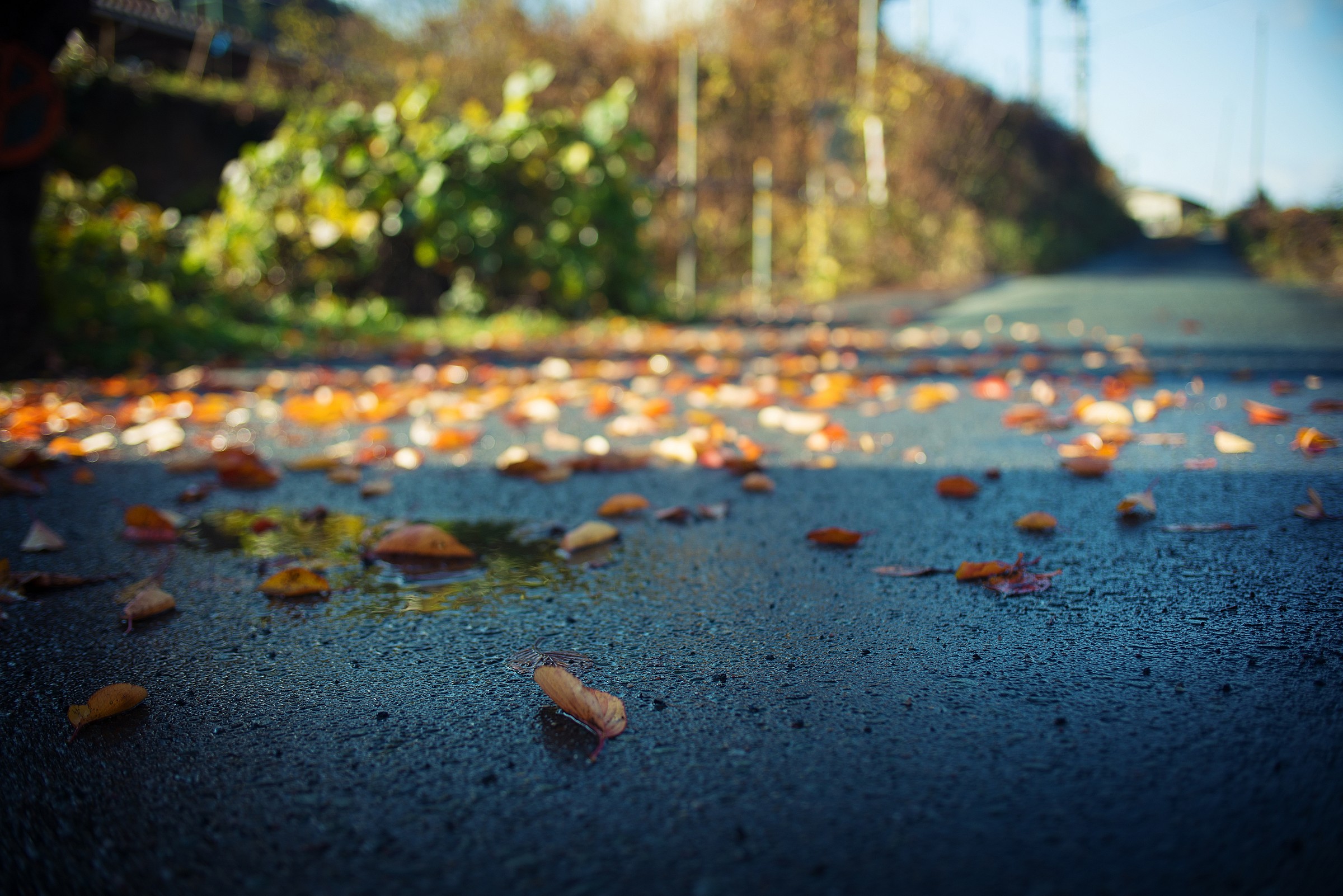 Yamadera - Autumn has arrived