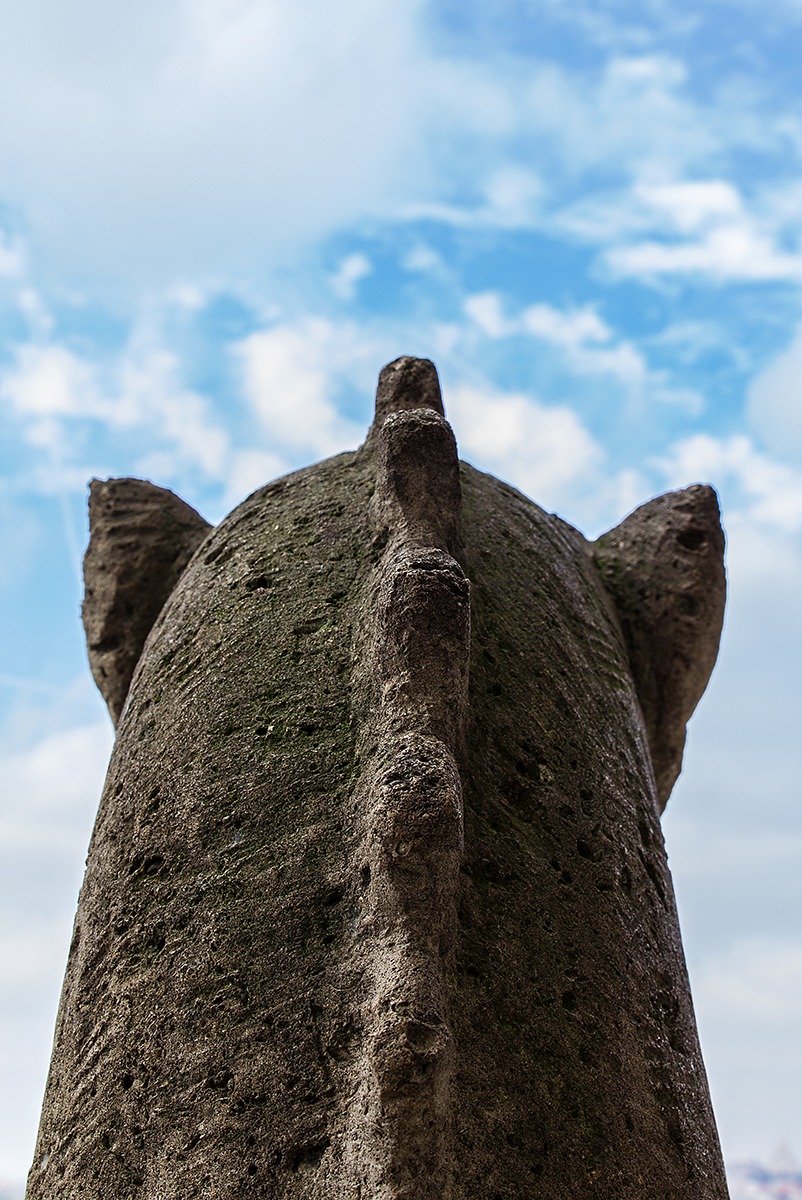 Sulle spalle del Garogoyle