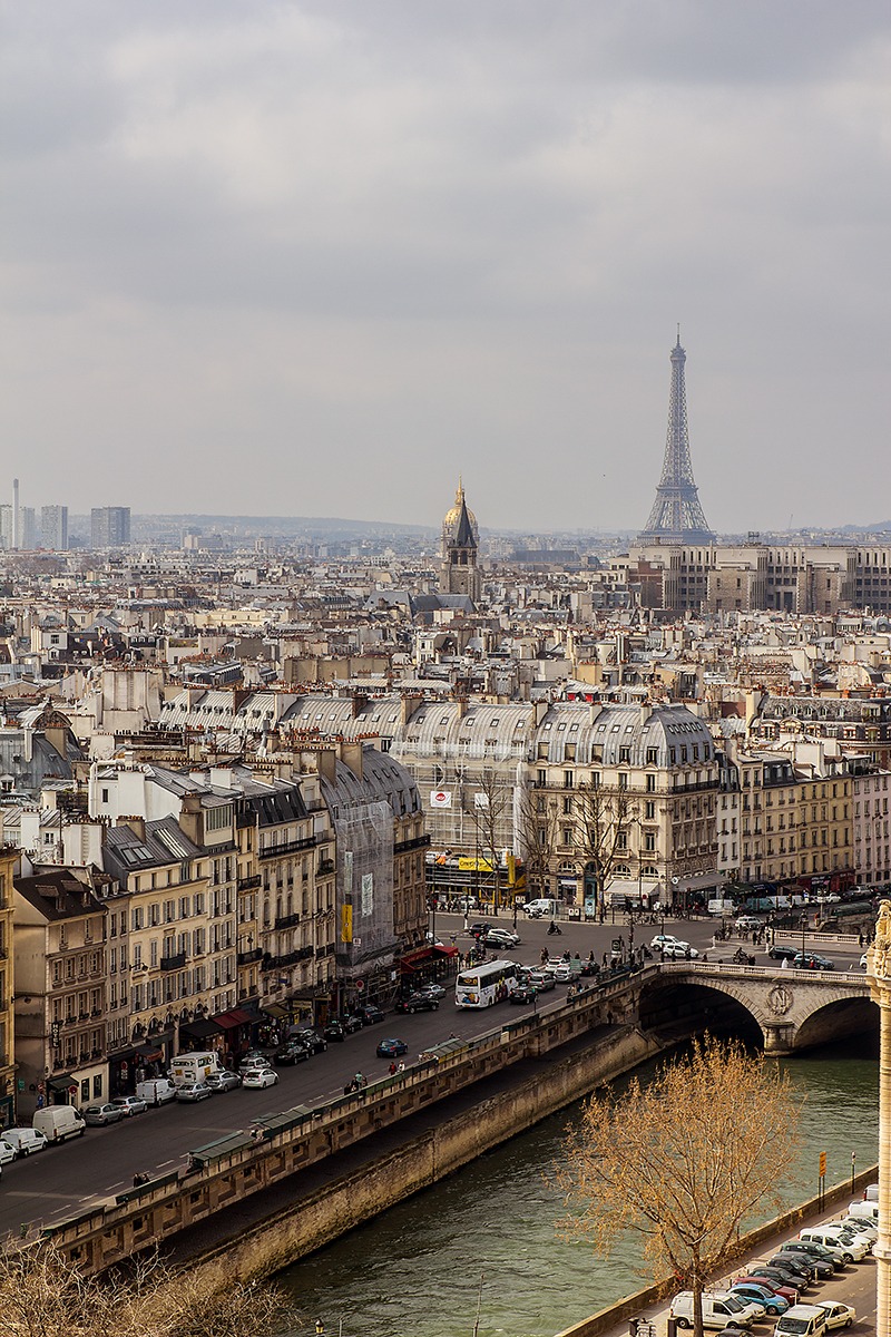 Tour Eiffel da Notre-Dame