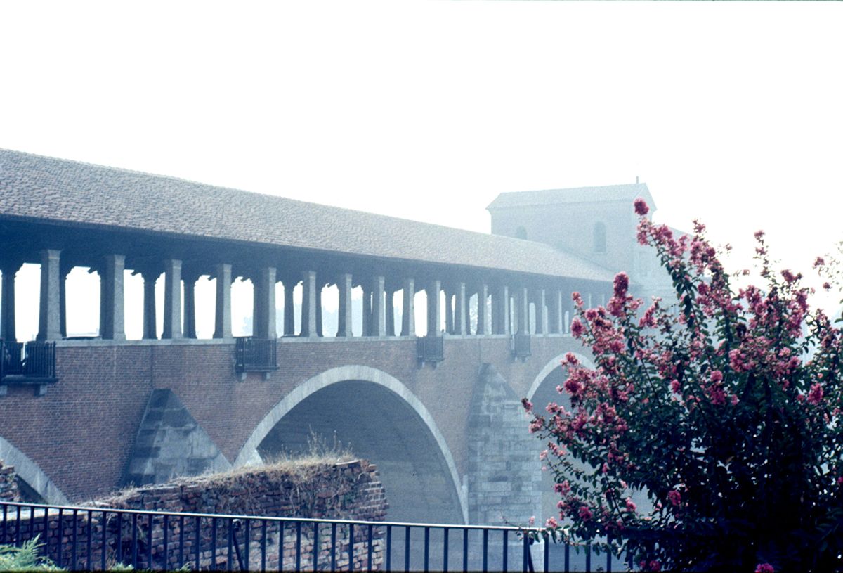 Pavia, Ponte vecchio