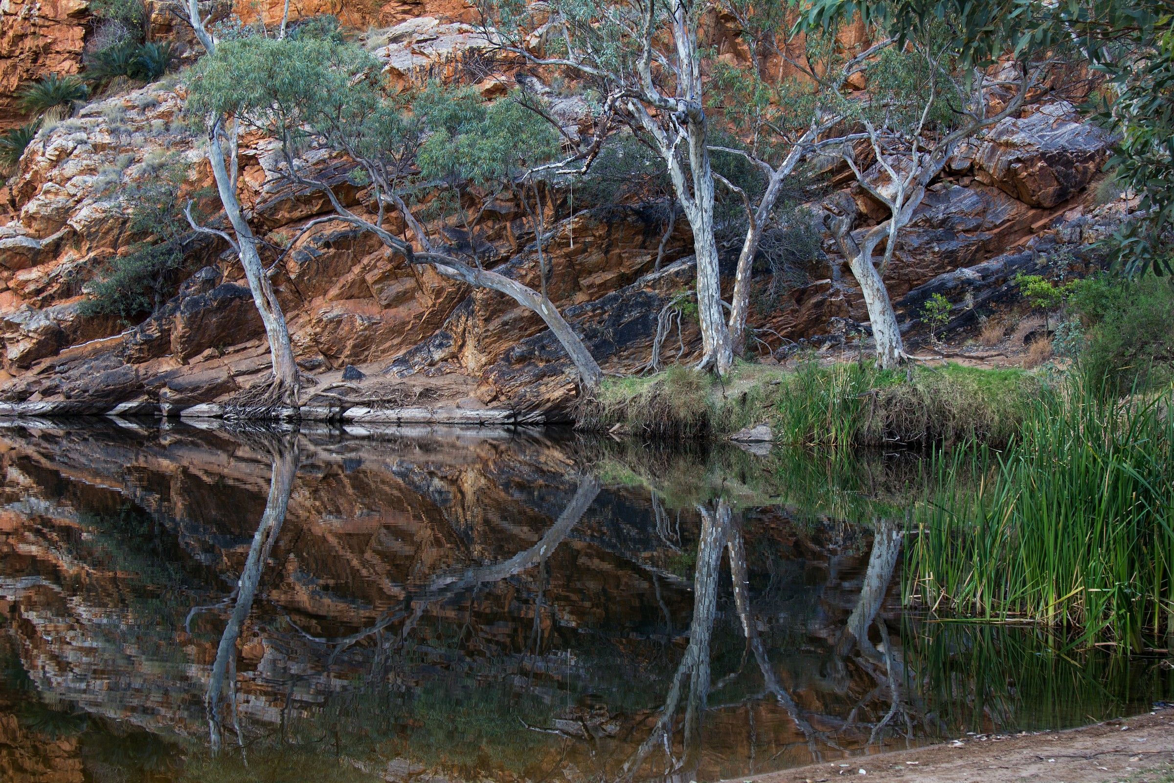 Reflections in the pond