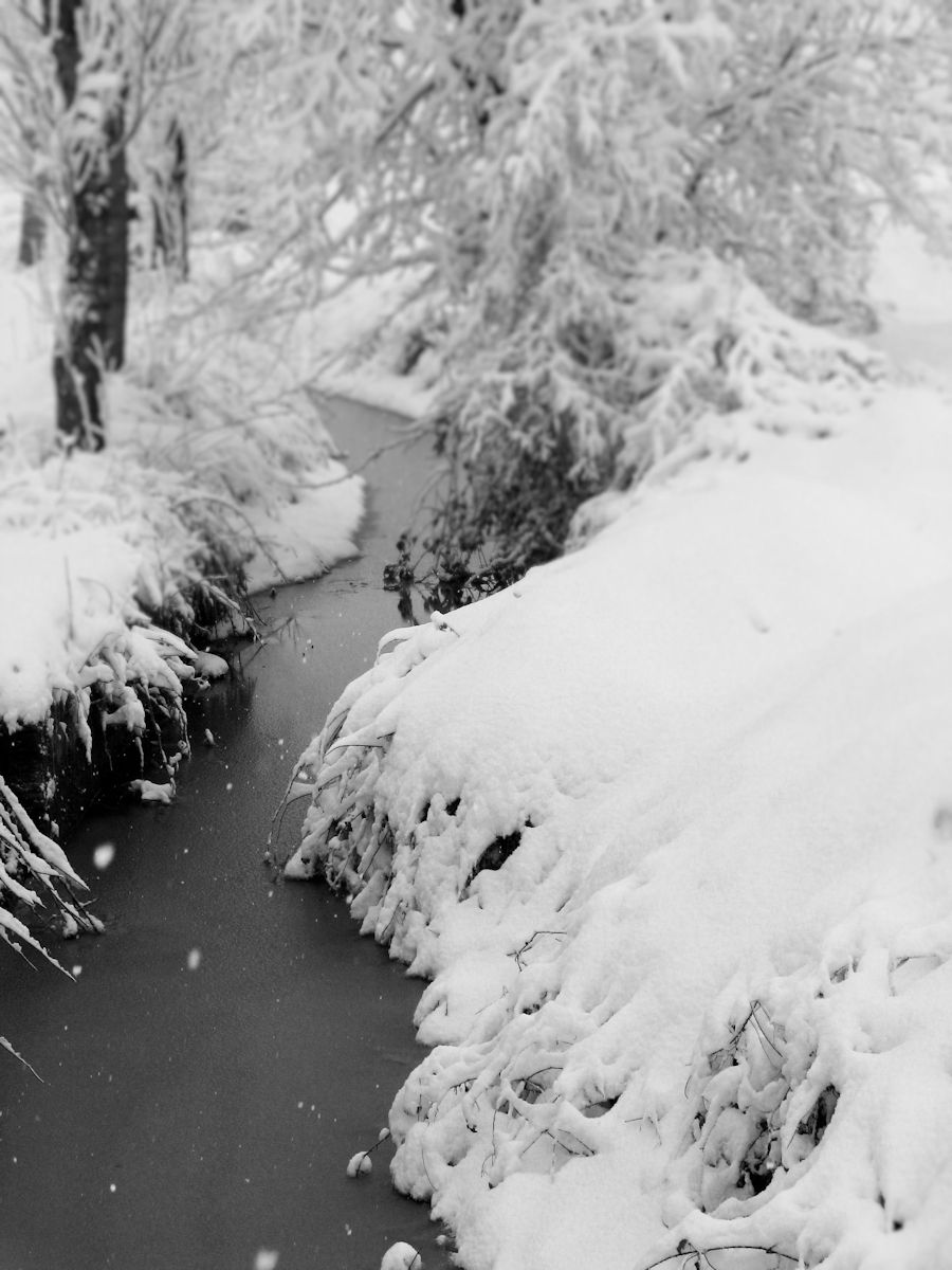 Giussago, paesaggio invernale
