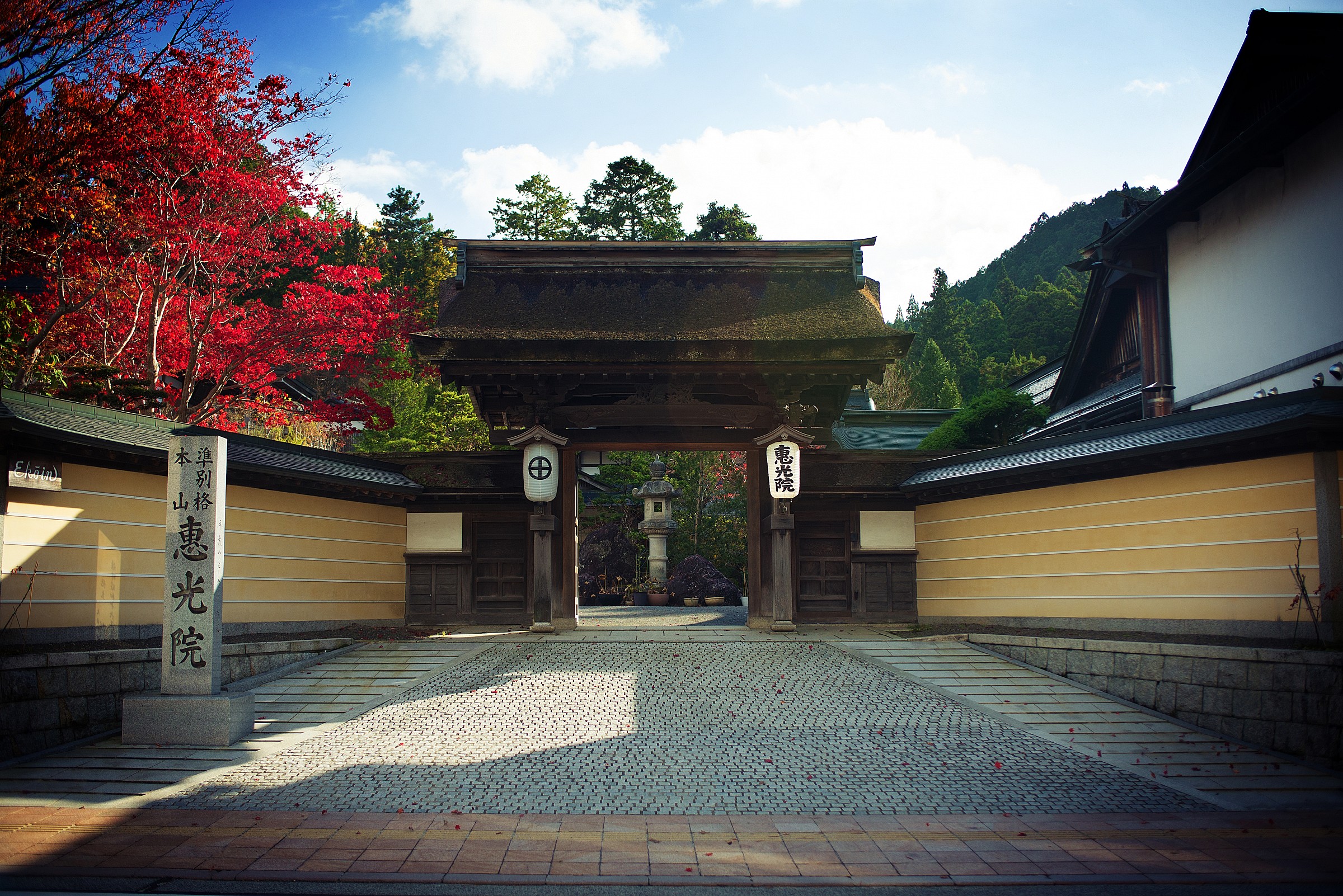 Koyasan - Autumn lights