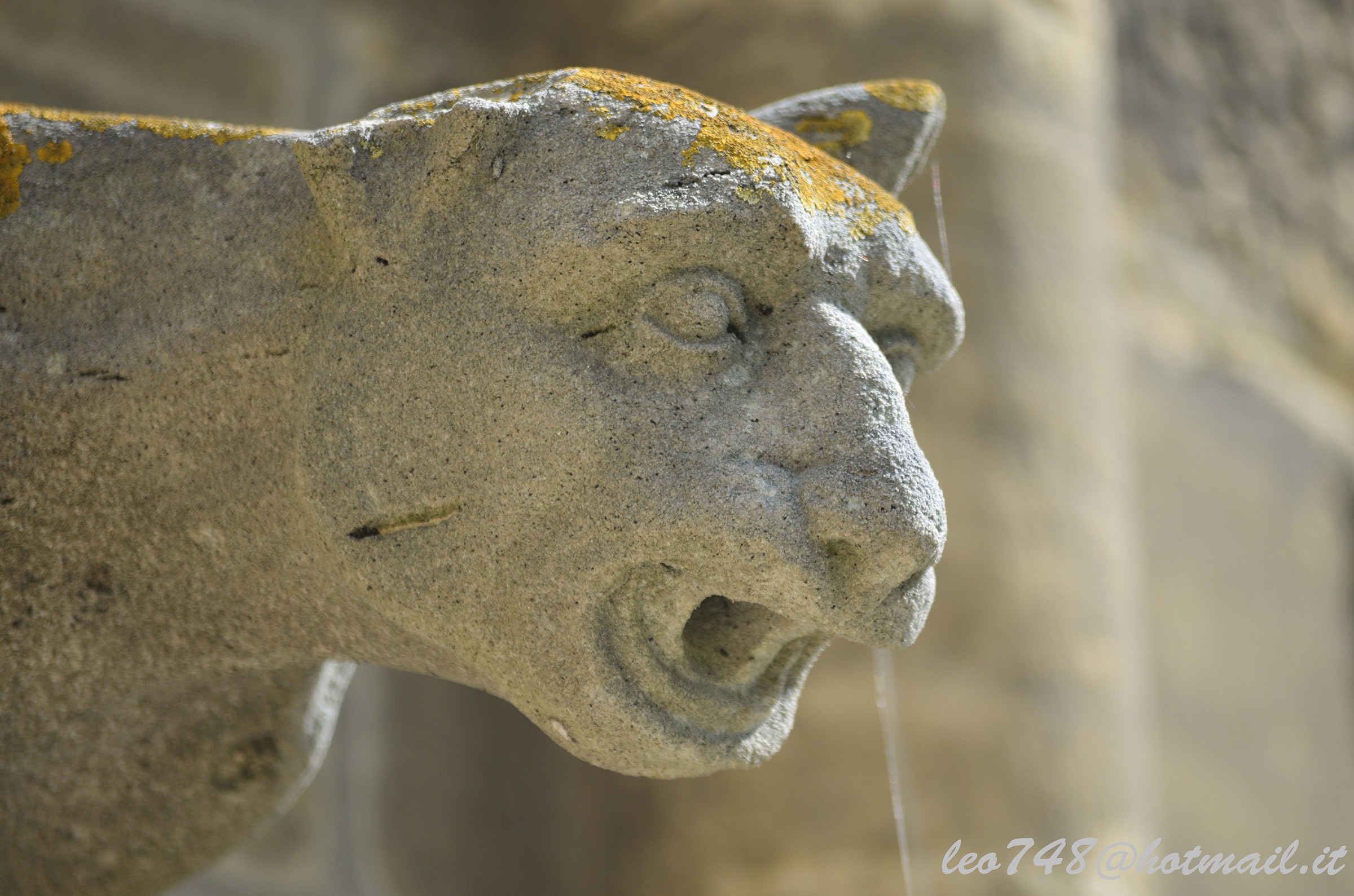 gargoyle 2