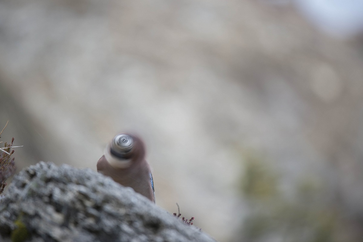 Mi gira un pò la testa