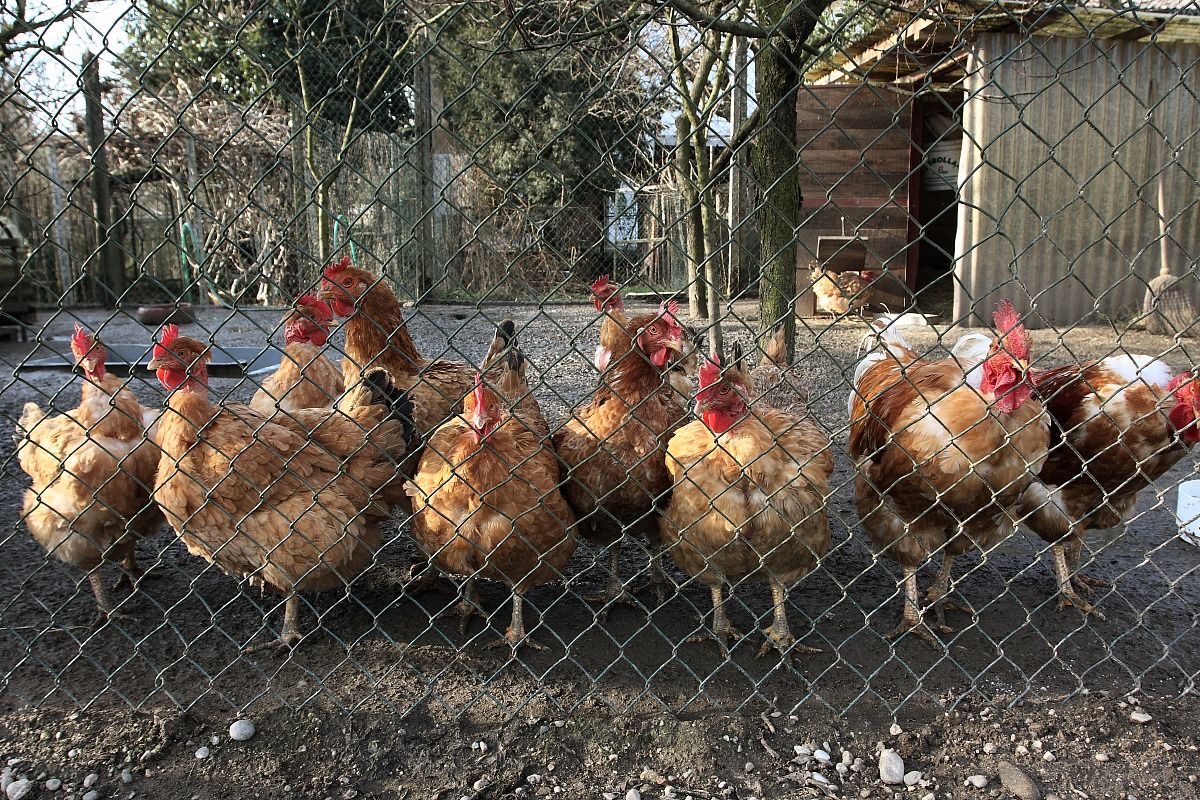 The charm of the photographer