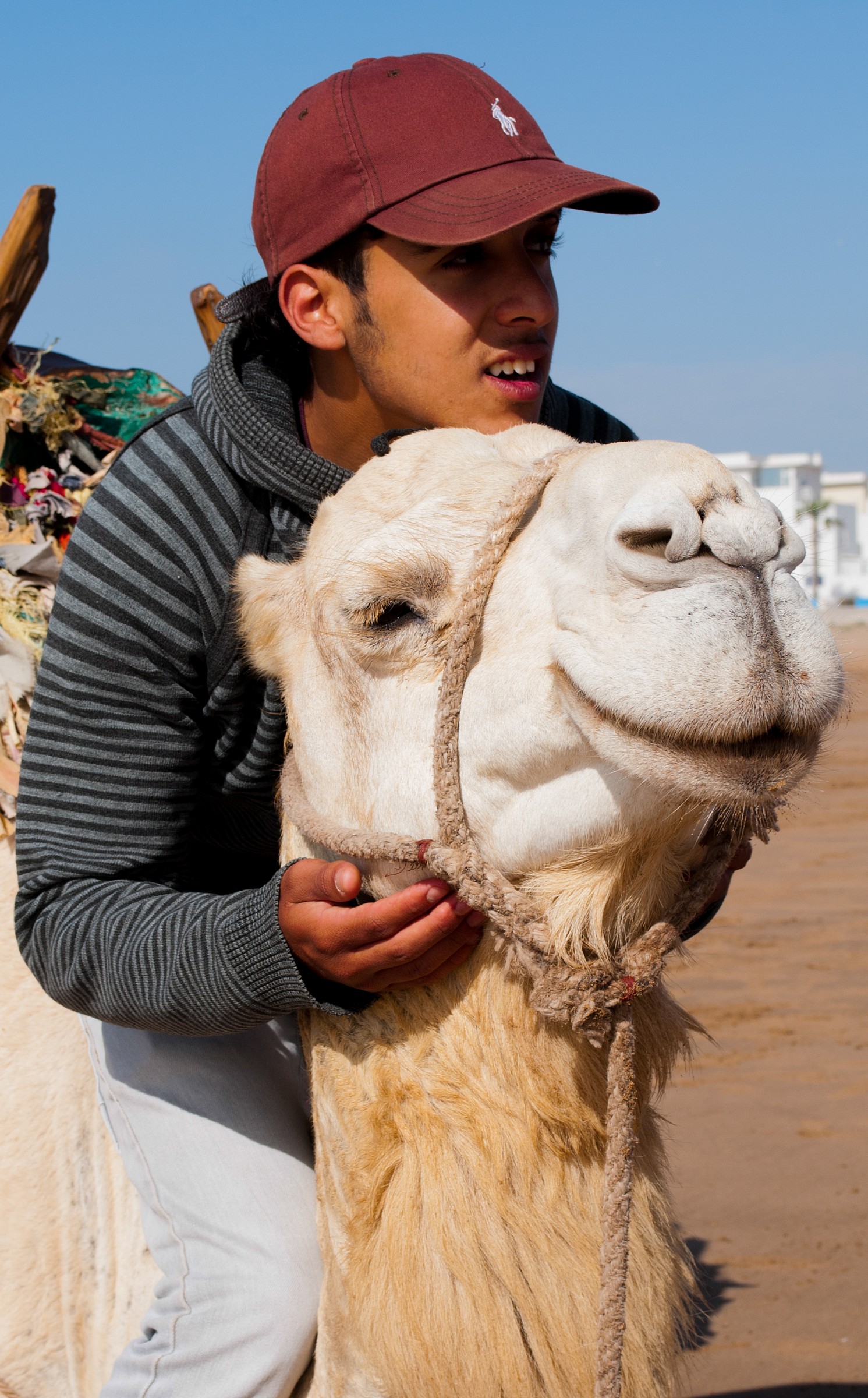 Cammelliere di Essaouira