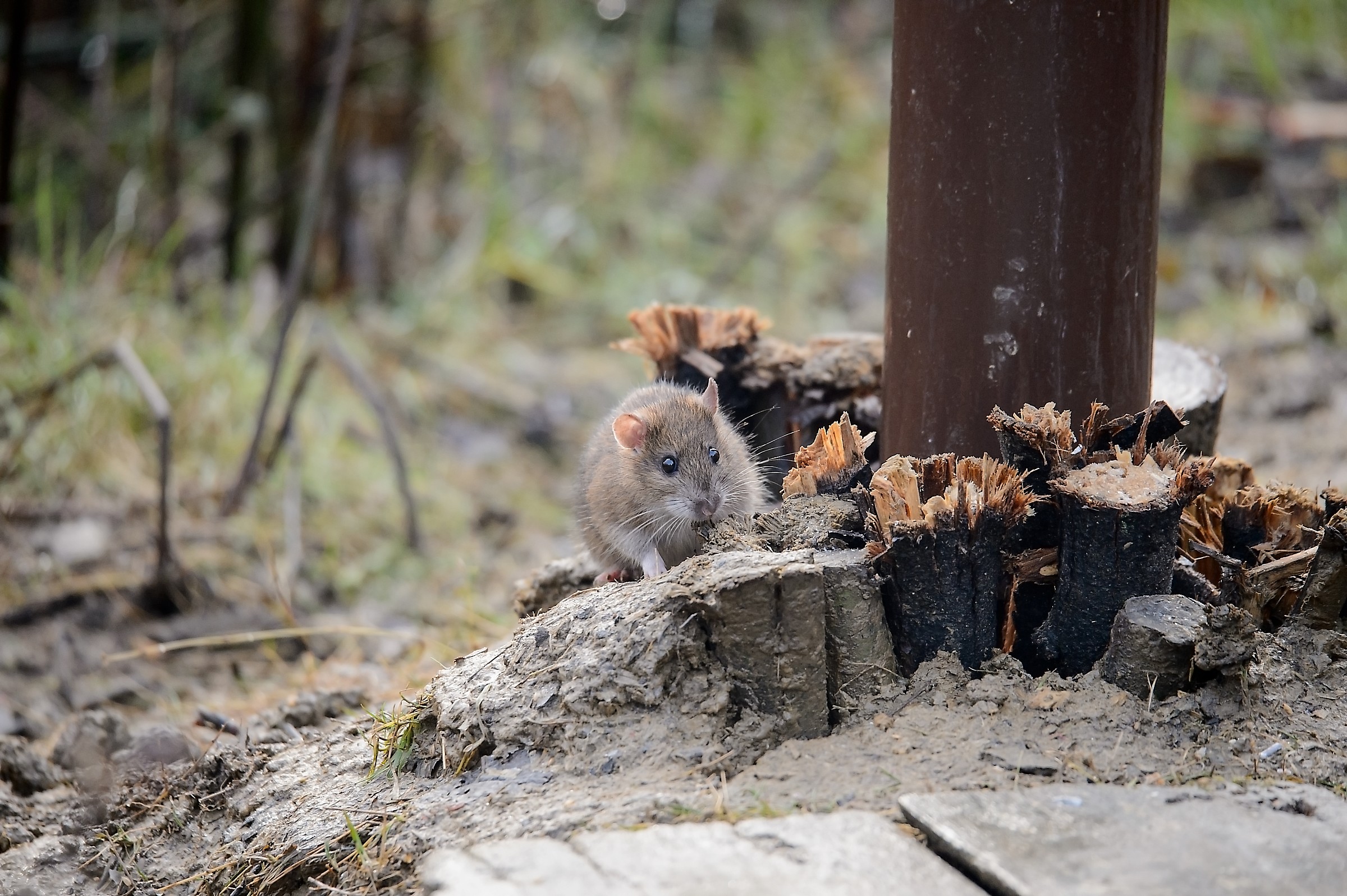 Did not advance anything .......