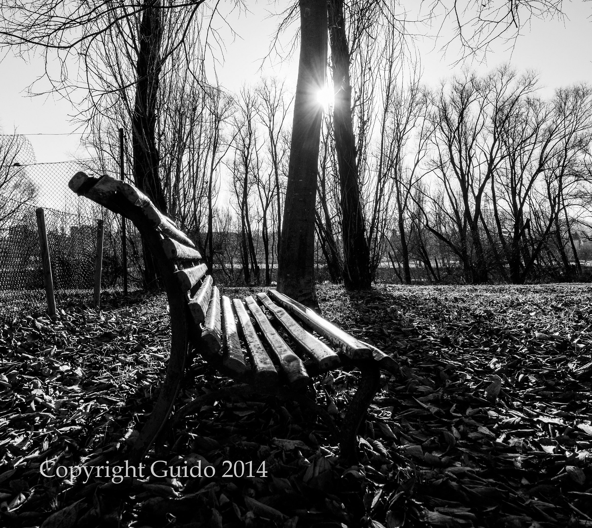 Panchina solitaria_2