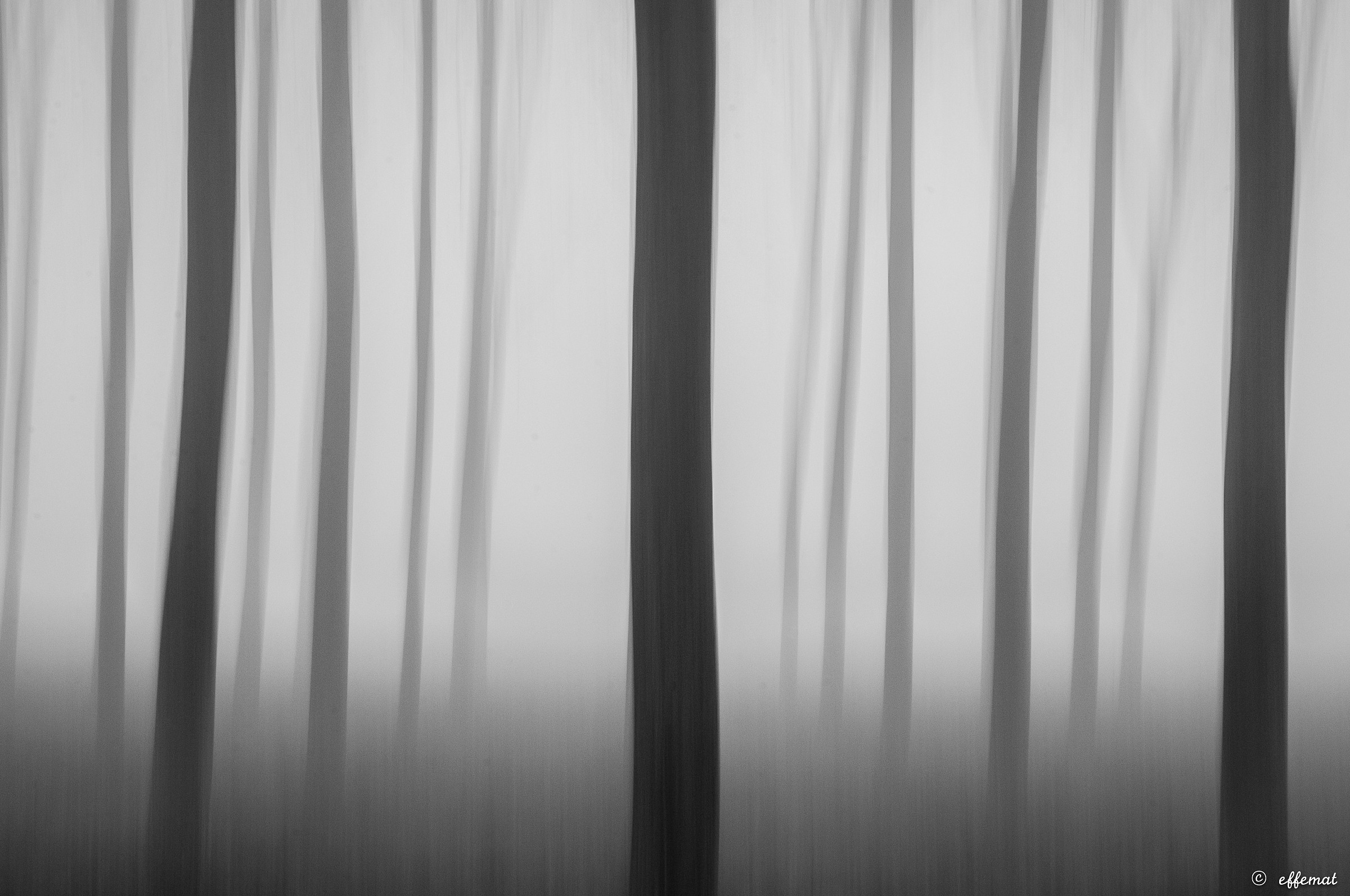 silhouette in the fog