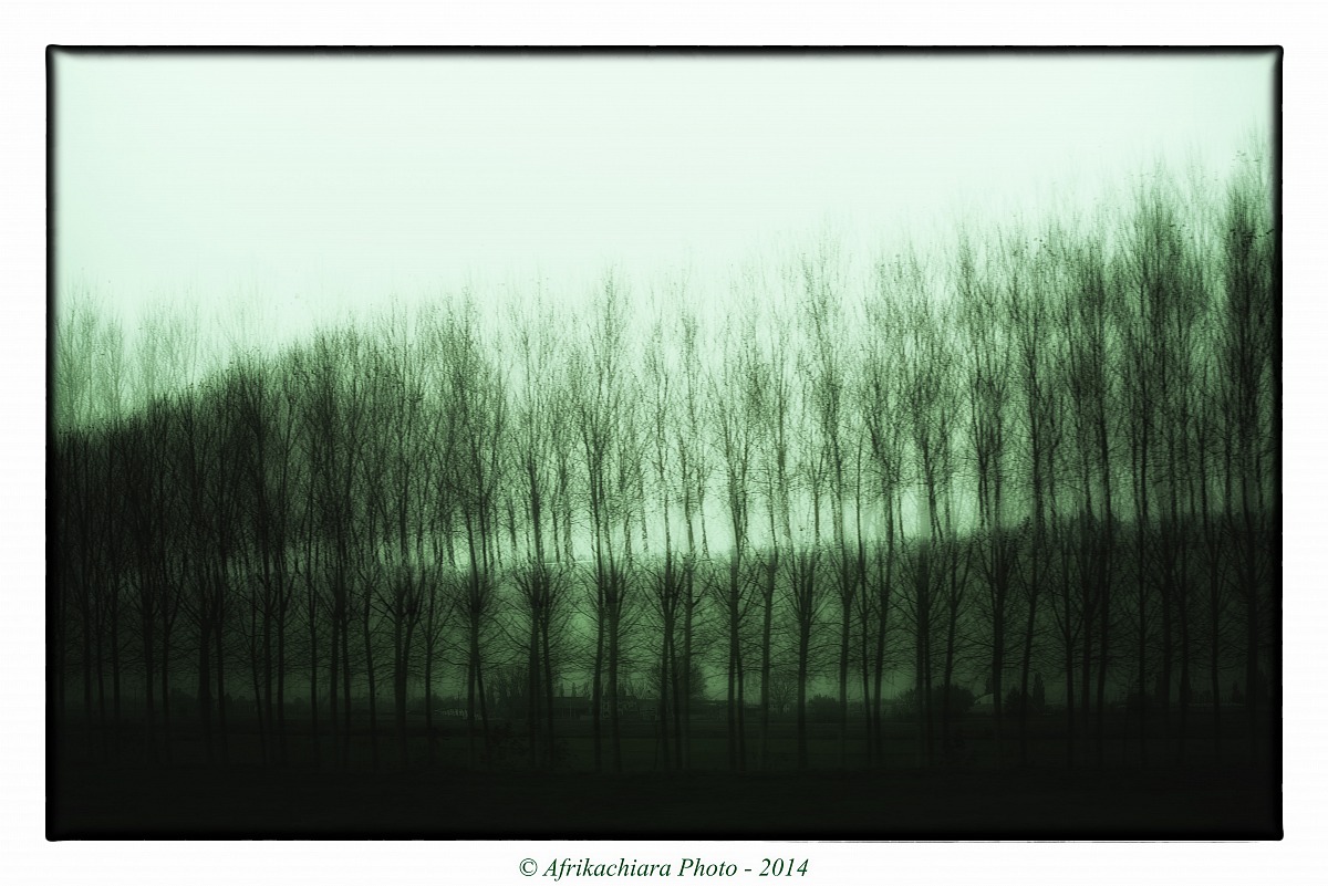 Venetian countryside