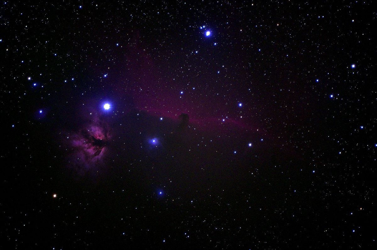 ic434 - Testa di Cavallo