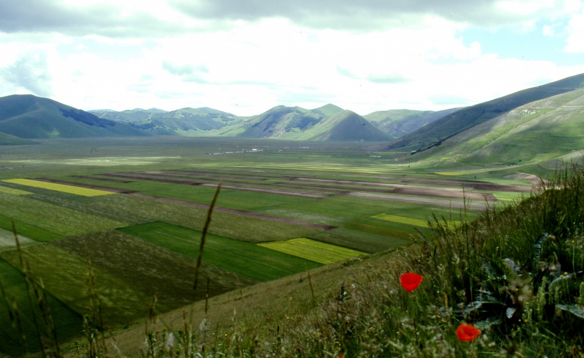 Piana di Castelluccio di Norcia