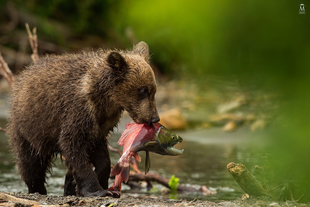 Finalmente si Mangia!