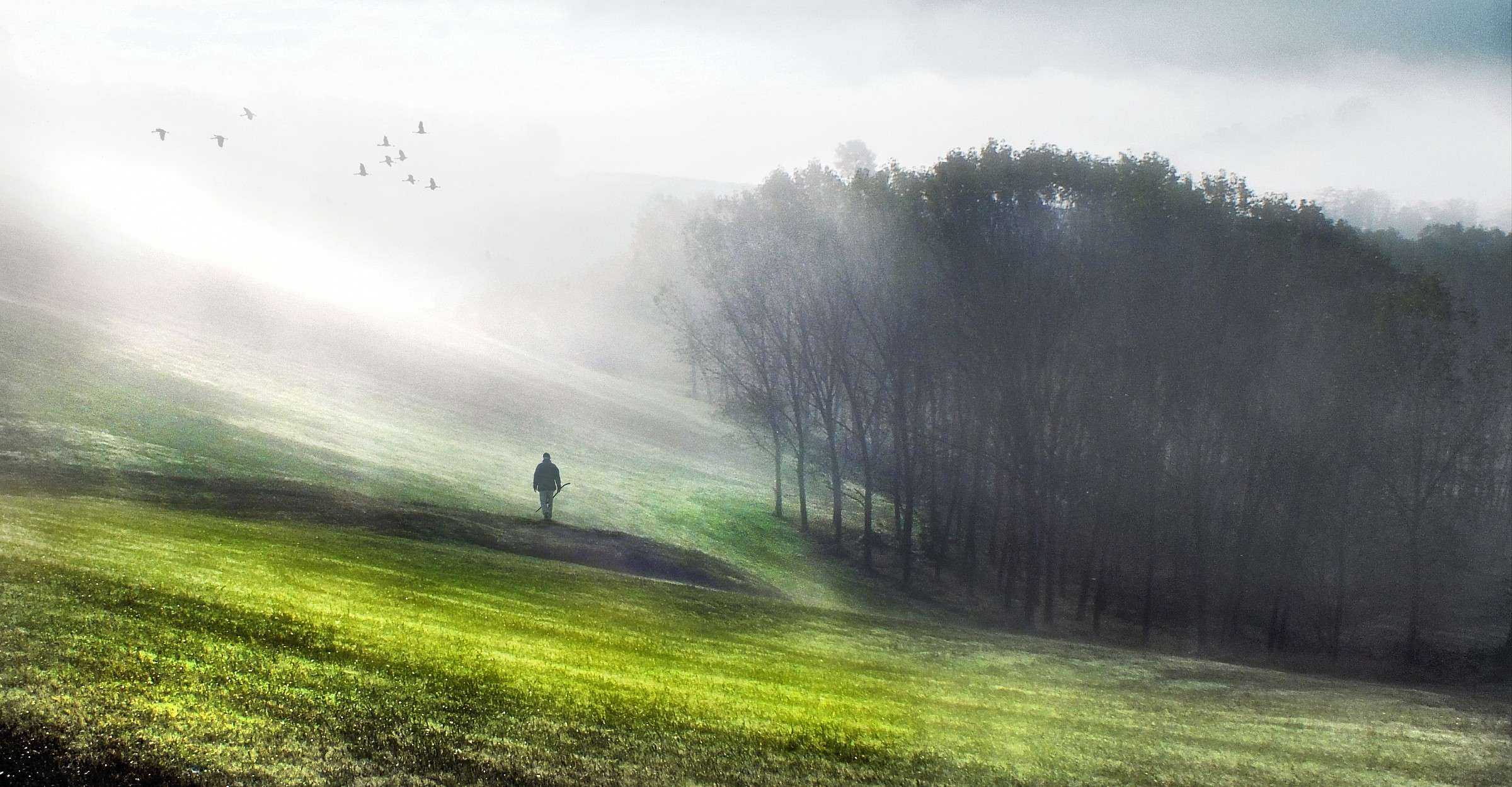 The seeker of mushrooms.