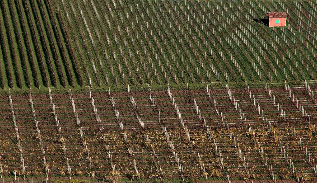 Autumn in Franciacorta
