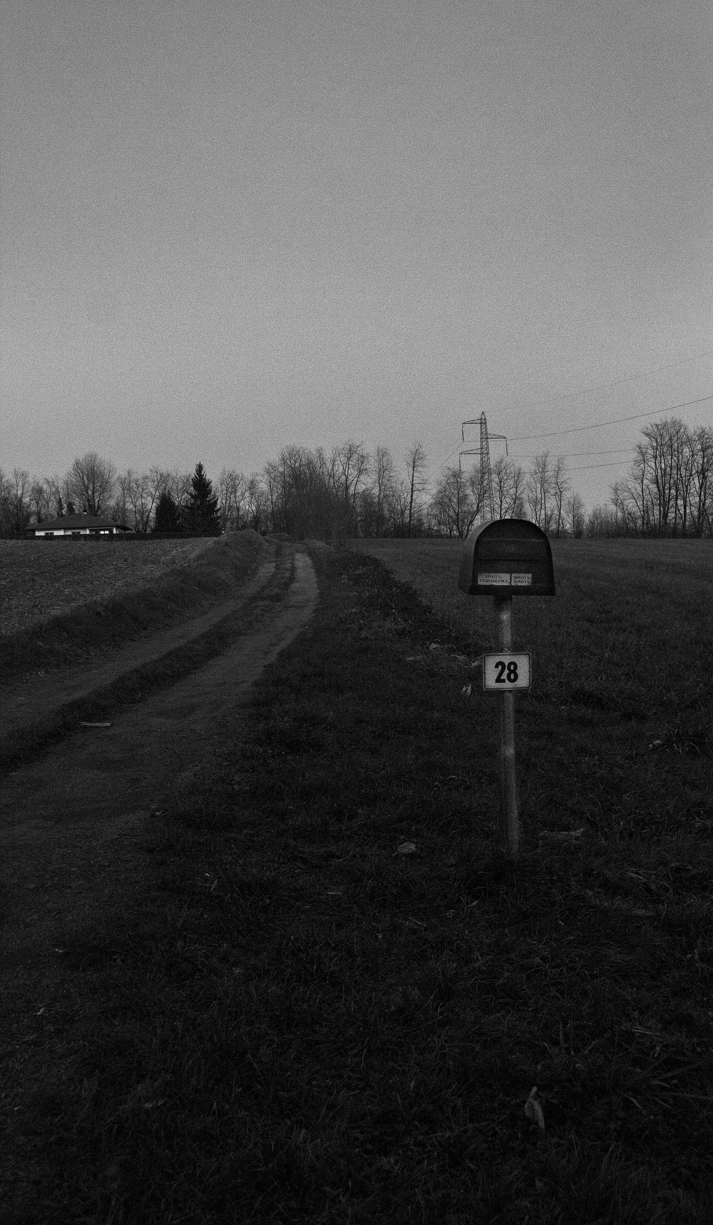 tell it to the postman