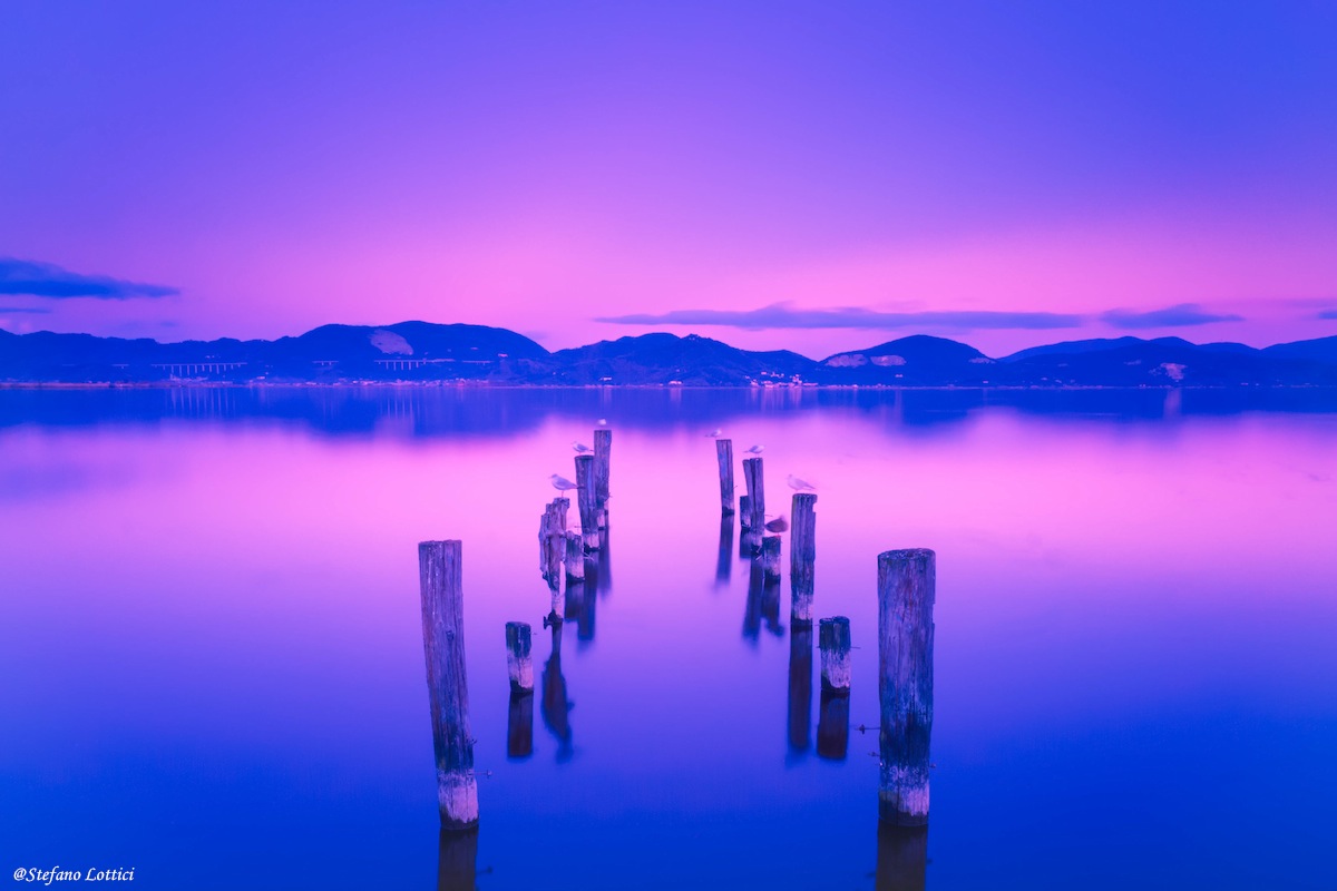 Lago di Massaciuccoli