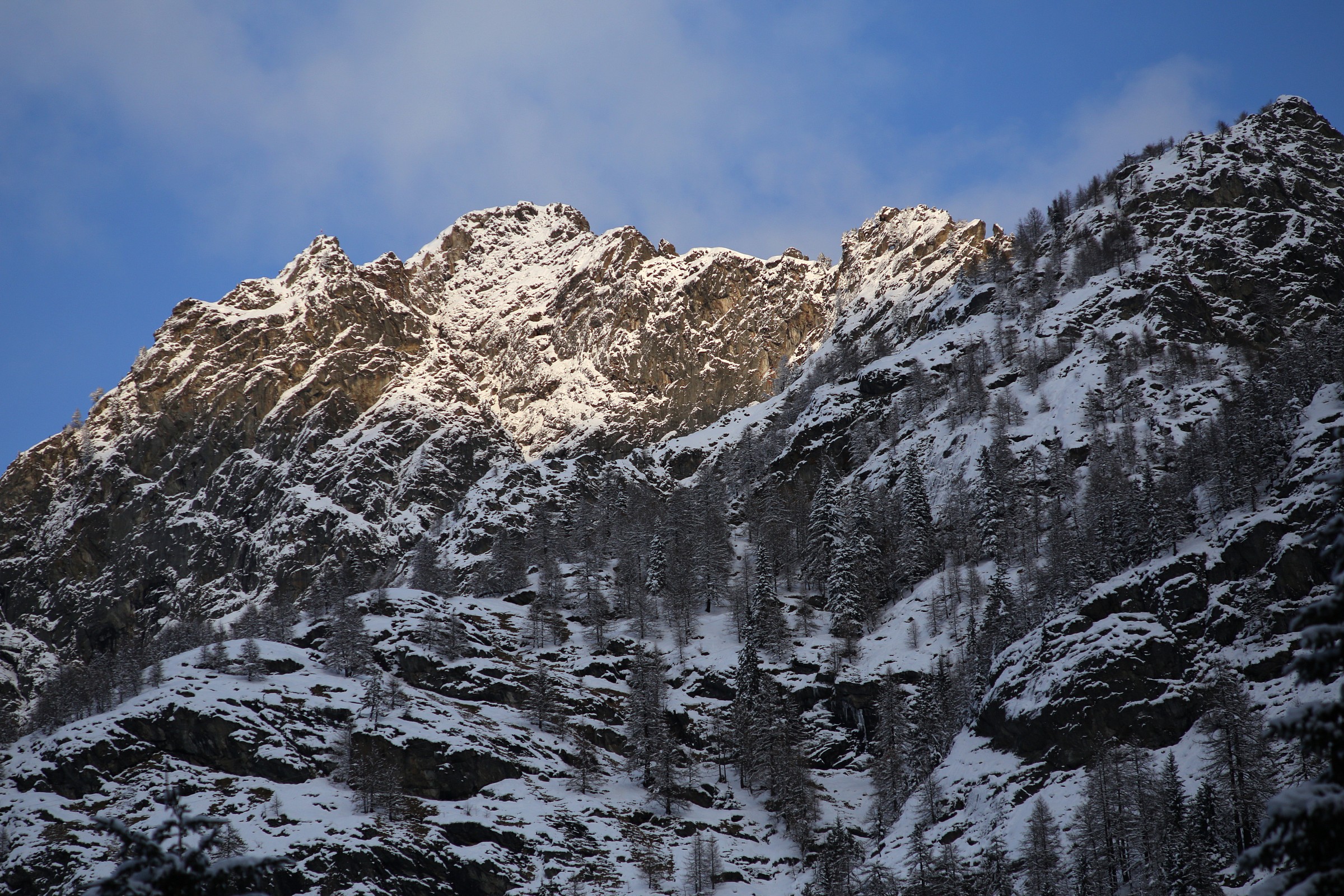 alpi