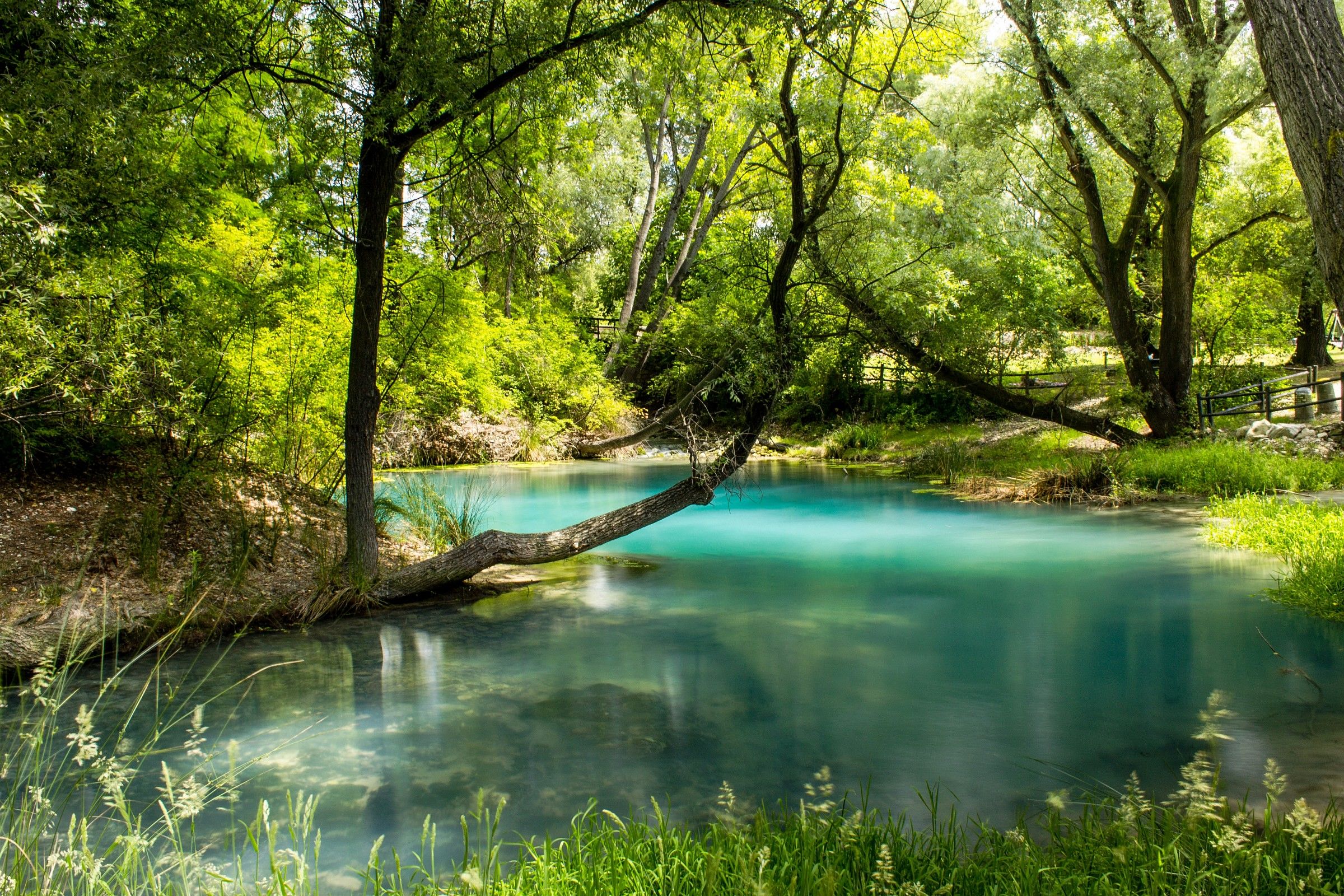 Park of the sulfur springs of the river Lavino - Scafa