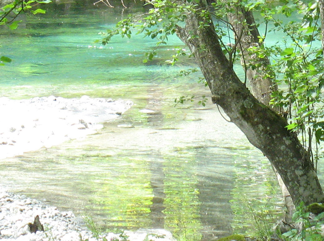 reflections in the water