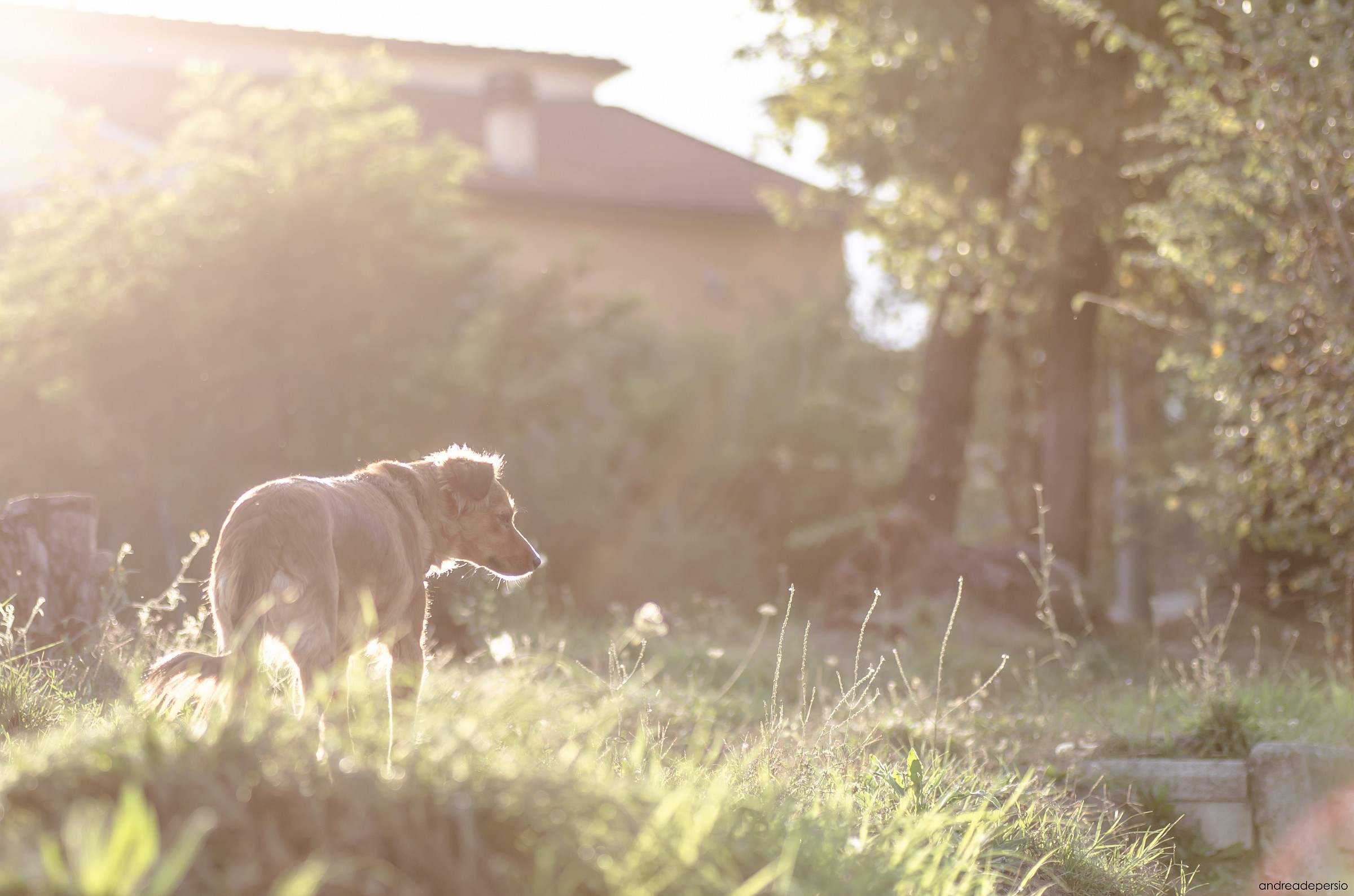 Prendiamoci un pò di sole..