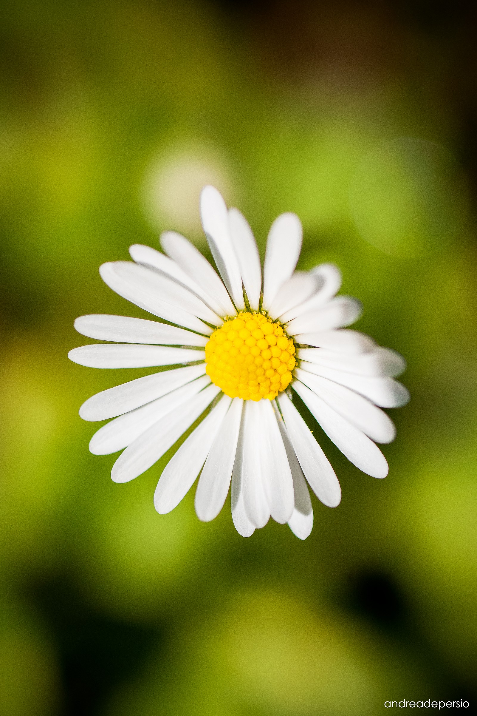 The beauty of nature!