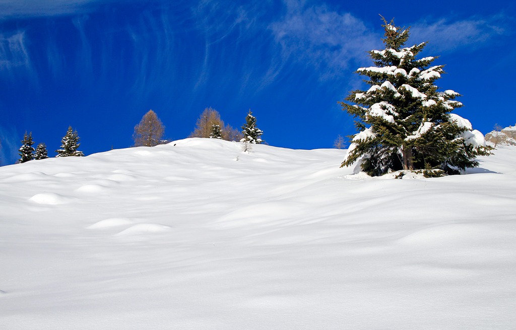 passeggiata per il rifugio