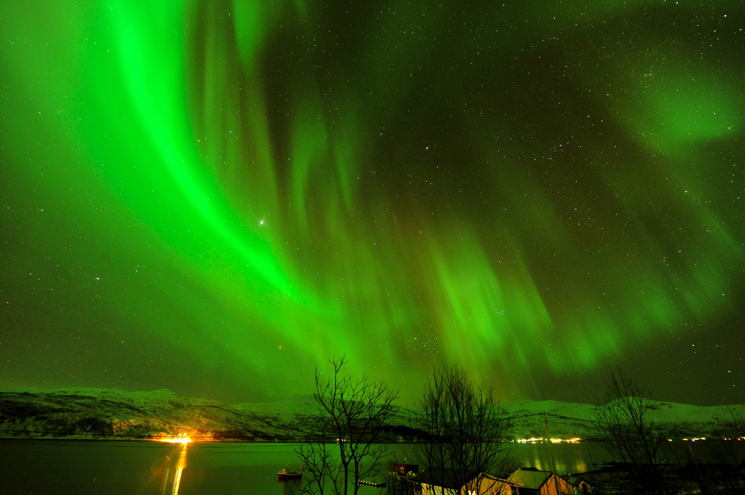 Norway in the heart !!