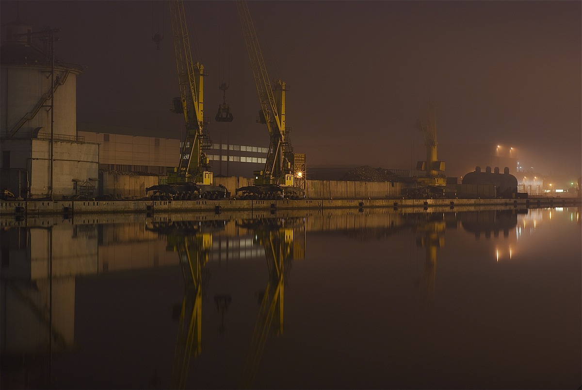 The cranes of the mists