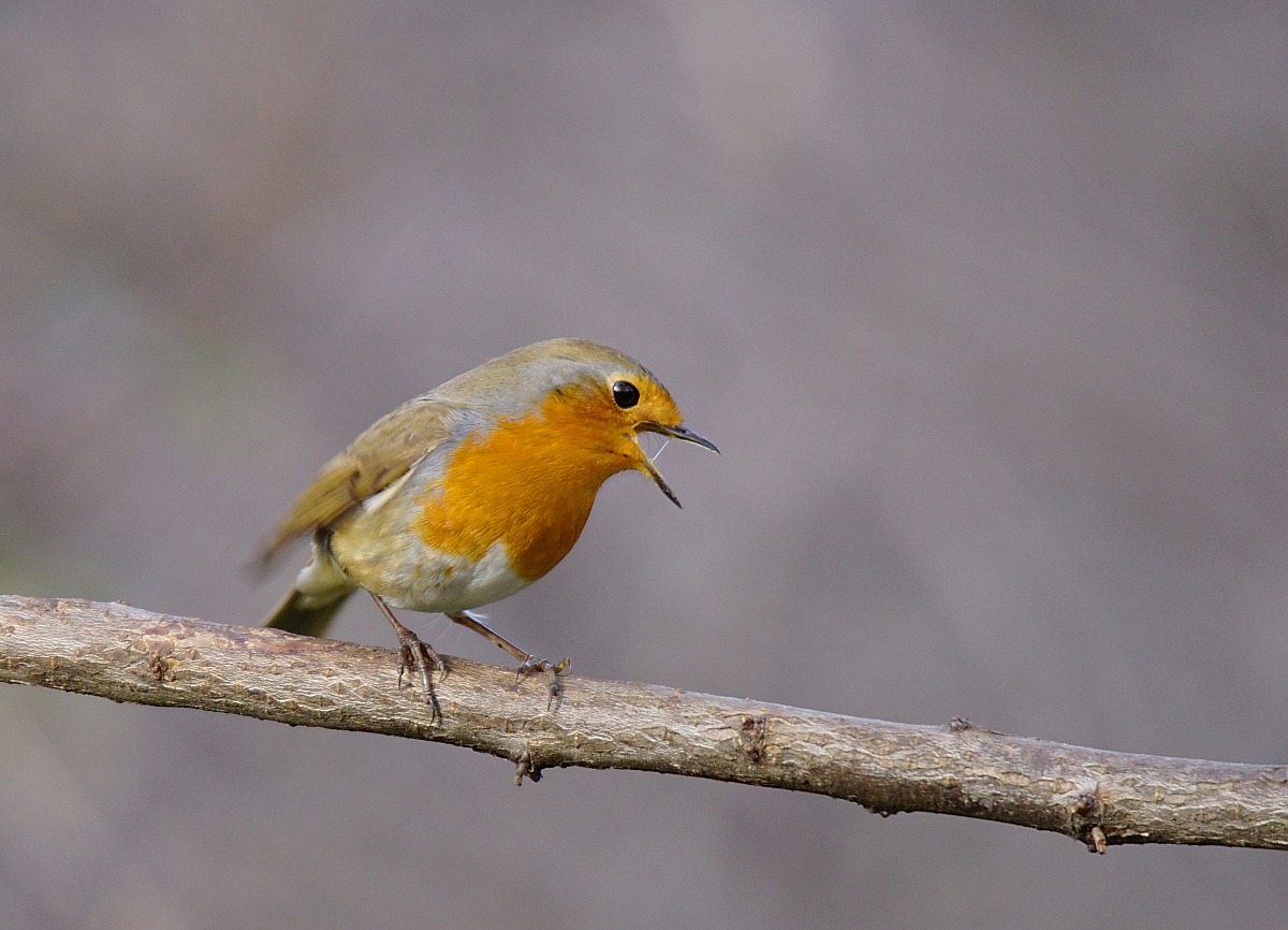 I 'vunuta mouth water