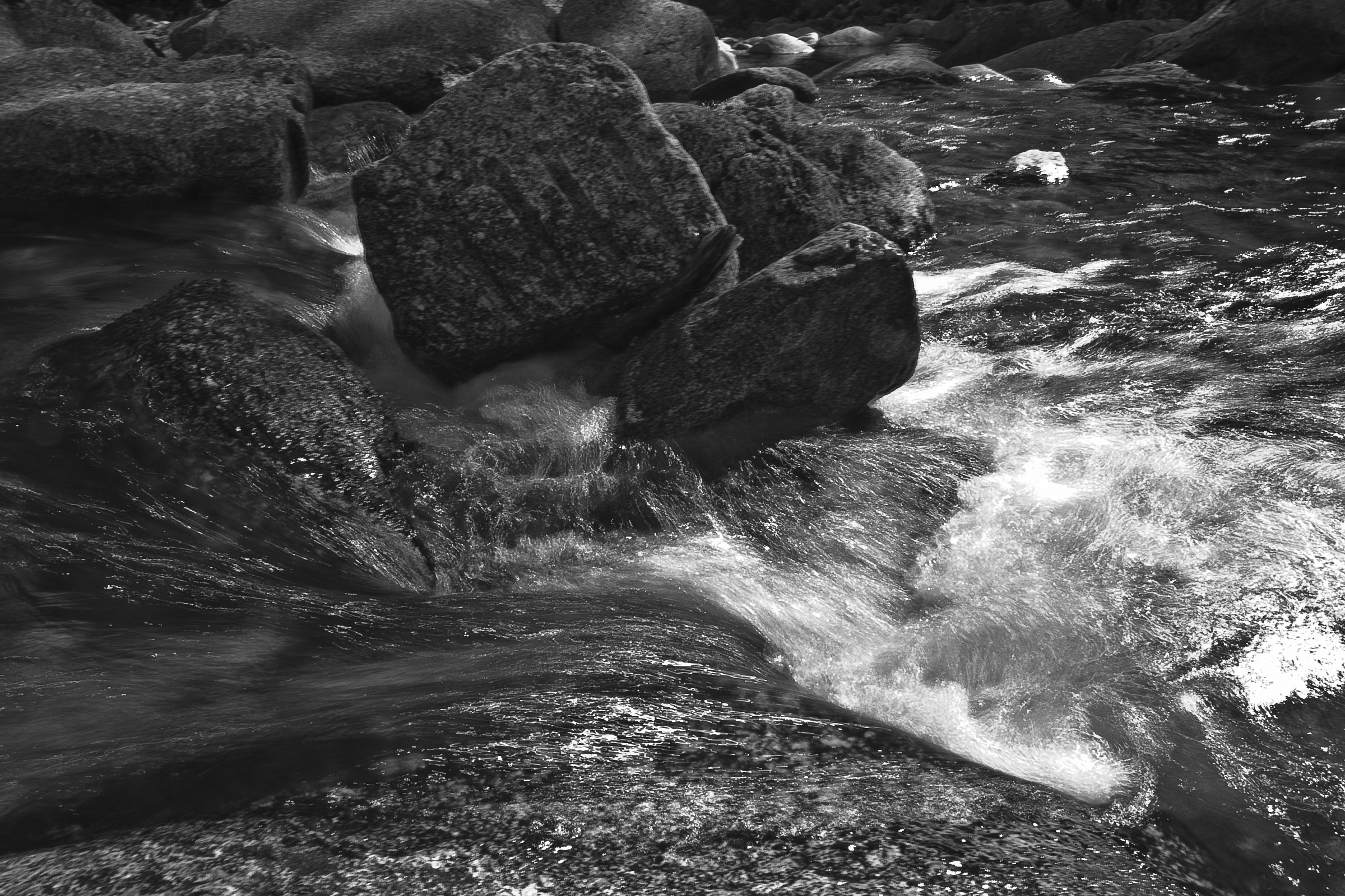 stones and water snakes