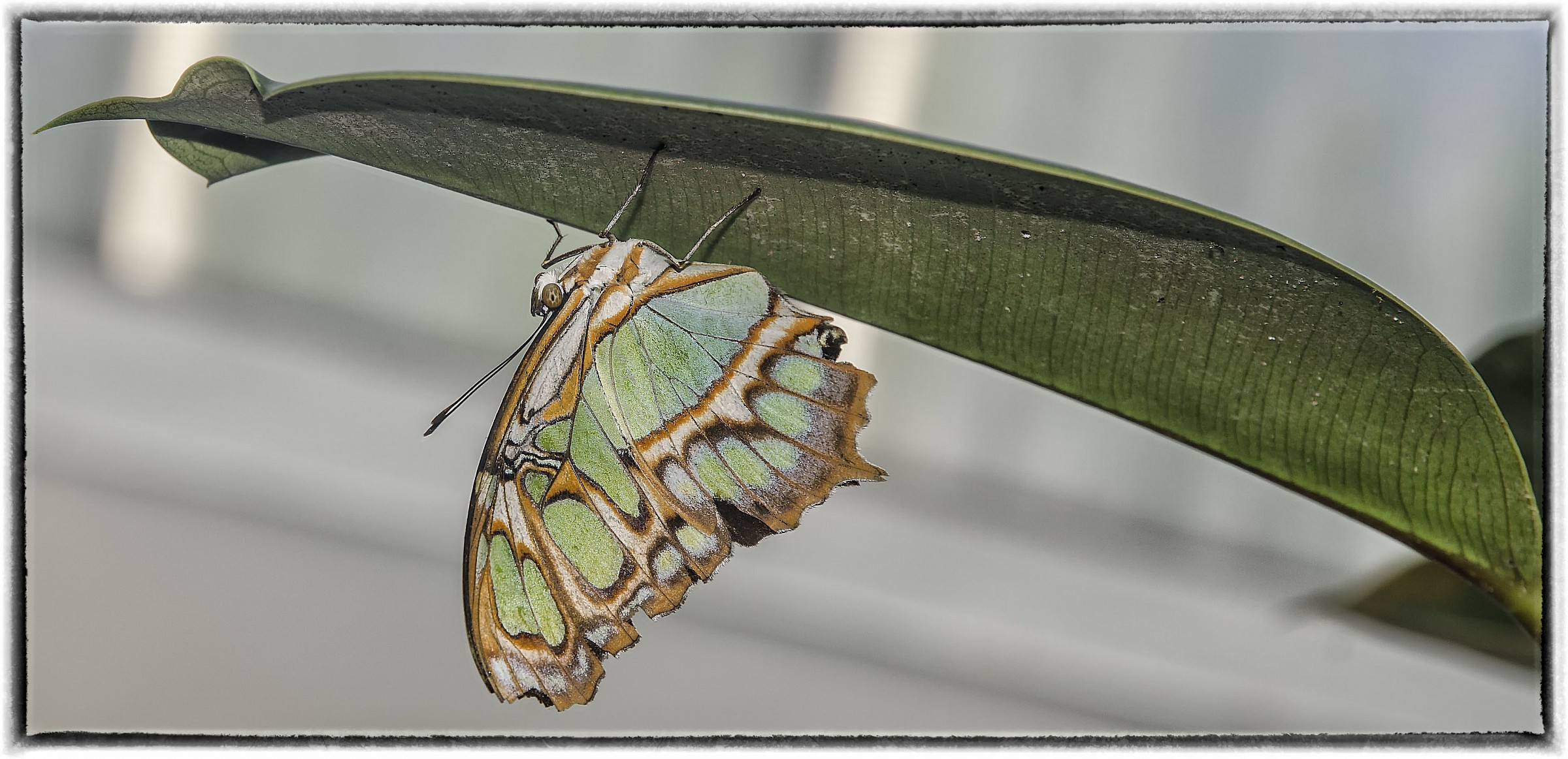 Relax upside down '...