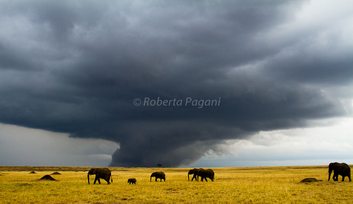 African landscape before storm