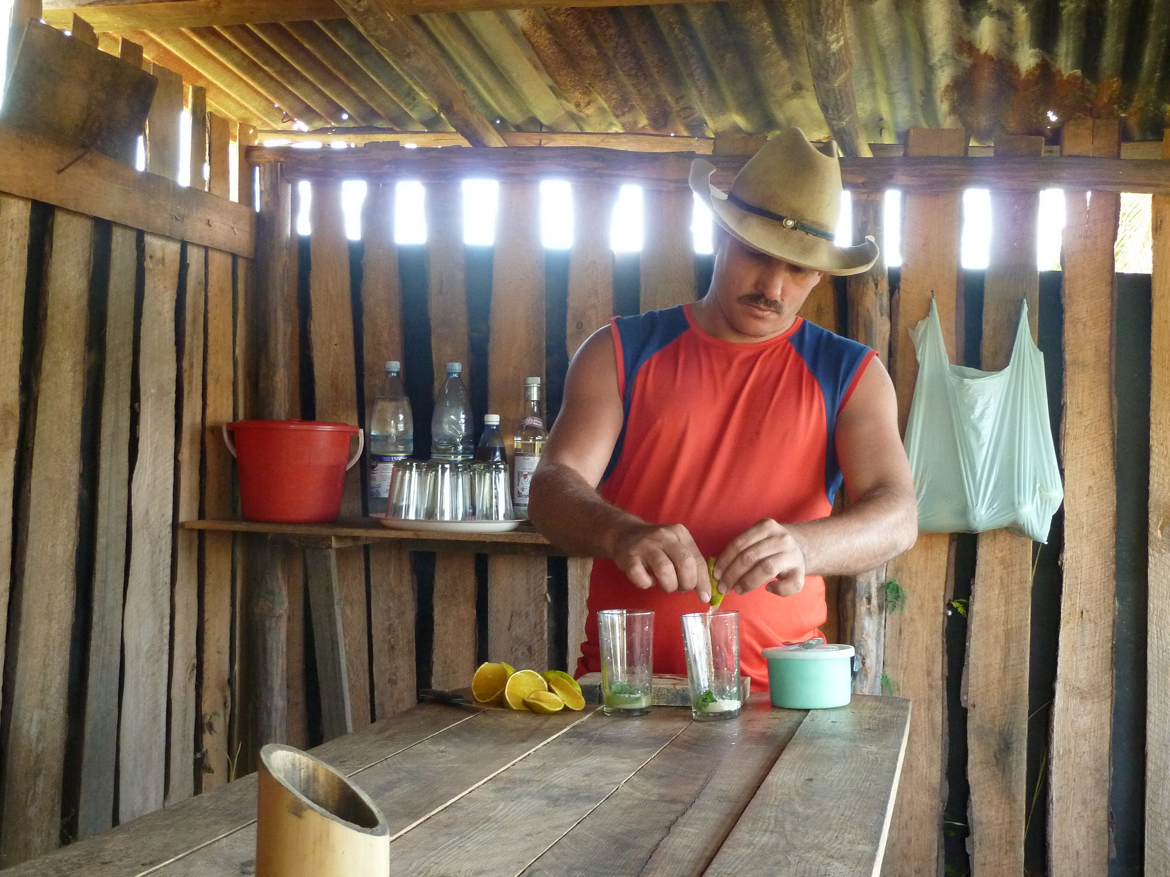 campesinos --> barista